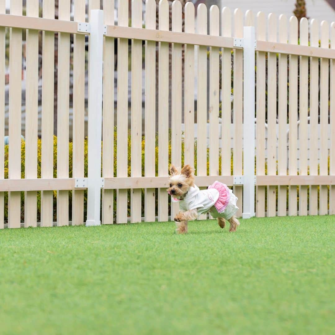 シーサイド リビエラさんのインスタグラム写真 - (シーサイド リビエラInstagram)「＼愛犬とリゾートでホカンス✨／  白い宇宙船のような特徴的な見た目のグランピングホテル、SPACE KEY POINT。  トレーラーハウスを活用しており、各SPACE(客室)にテラスがあります。  顔を上げればいつでも水平線を見渡せる贅沢なお部屋、全4棟中2棟はドッグフレンドリールームです🐶 海を間近に感じながら、愛犬とプライベートなひとときをお過ごしいただけます。  お夕食にBBQを召し上がったり… オプションプランの貸切OCEAN SAUNAで心身ともにととのったり… キャンプファイヤーを囲んでゆっくり語らったり… クルーズで海上散歩を楽しんだり… ここでしか味わえない特別な体験があなたを待っています。  場内にはノーリードで走れるドッグスペース「DOGGY GARDEN」や、愛犬用のお食事をご用意しているレストラン「マリブファーム」もございます。  ゆっくりと、時間を気にせずワンちゃんとヤシ並木の中お散歩し、スペースキーポイントへお泊まりにいらしてください。  ✔ご予約は @spacekeypoint プロフィールURLから  #spacekeypoint #スペースキーポイント #malibufarm @malibufarm_zushimarina #malibuhotel @malibu_hotel #グランピング #グランピング関東 #グランピングリゾート #わんことお出かけ #犬と旅行 #わんこと旅行 #愛犬と旅行 #犬と泊まれる宿 #わんこと泊まれる宿 #愛犬と泊まれる宿 #いぬのいる暮らし #いぬすたぐらむ #ホカンス #ステイケーション #ホテルステイ #ワーケーション #リゾートホテル #オーシャンビューホテル #絶景ホテル #神奈川ホテル #鎌倉ホテル #鎌倉観光 #サウナ」6月4日 18時00分 - spacekeypoint