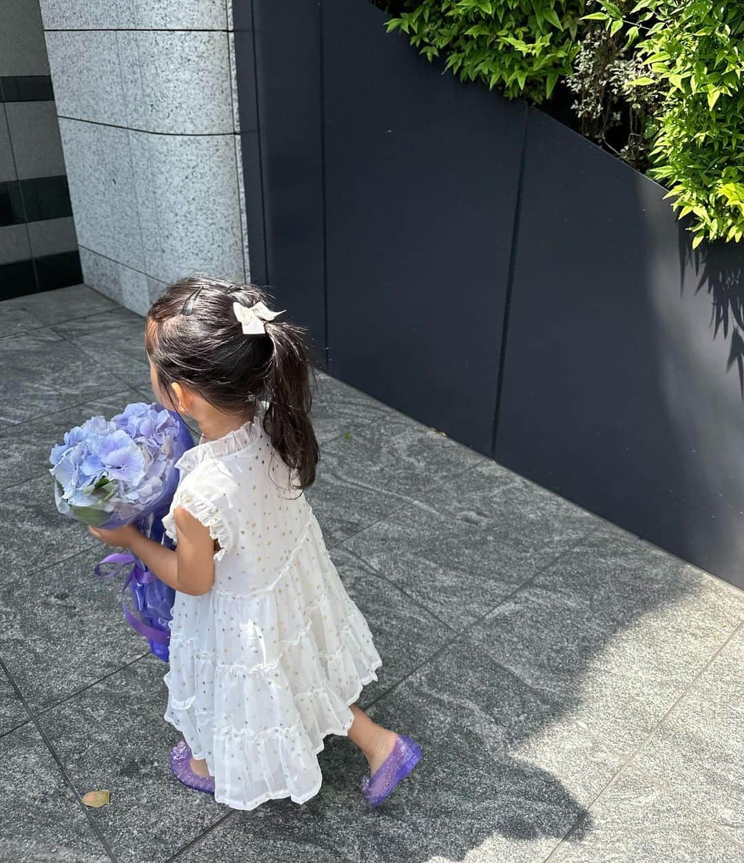 稲川千里のインスタグラム：「紫陽花💜 #アジサイ #紫陽花」