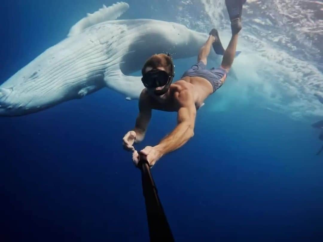 GoProのインスタグラム