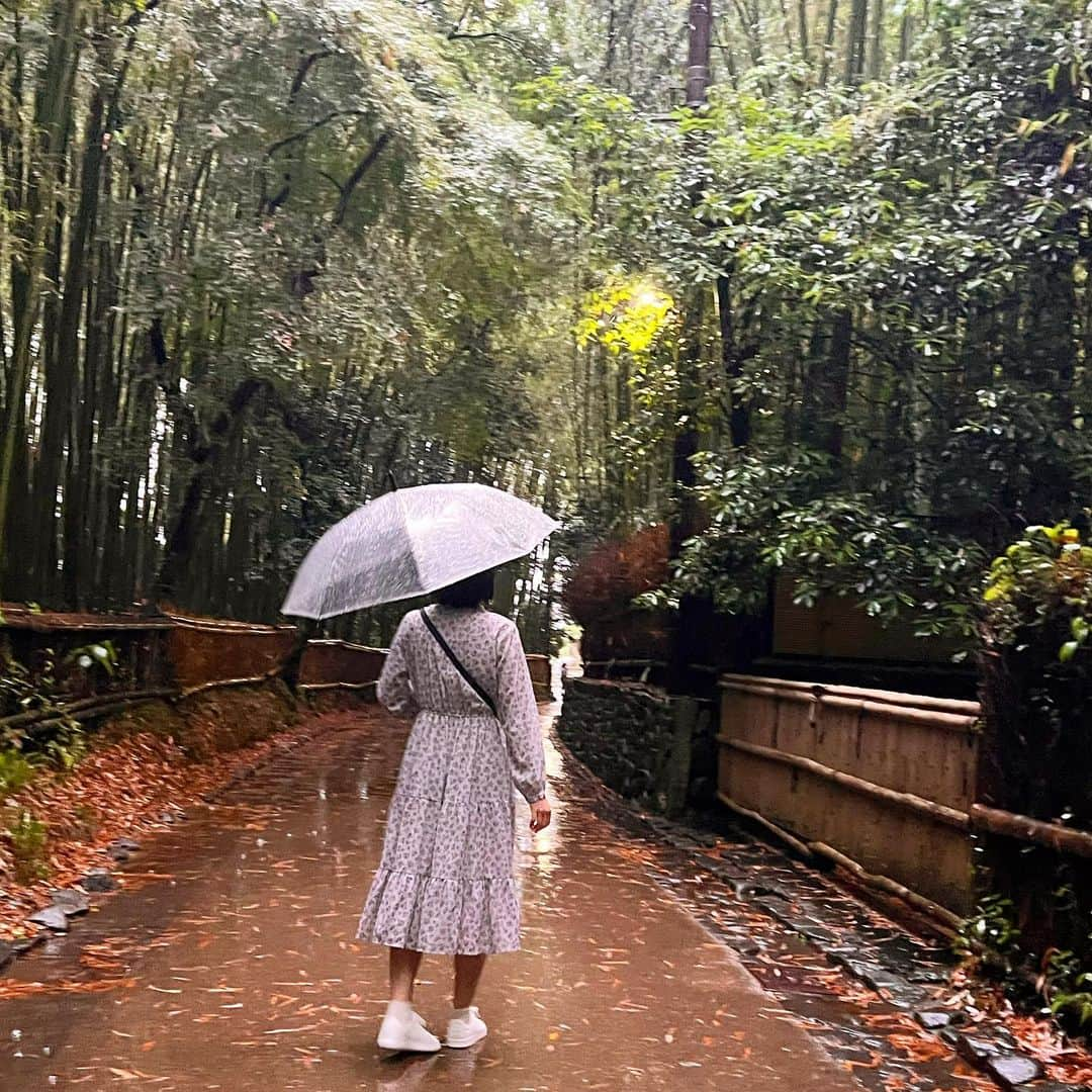 今田美奈さんのインスタグラム写真 - (今田美奈Instagram)「旅行で京都、奈良に🚅！ 1日目は大雨だったけど、雨の清水寺はそれはそれは、とっても素敵で…。行く場所行く場所が修学旅行以来のものばかりで、見るもの全てが昔と違う感覚を持って見ることができて、良かったなぁ：）感動したぁ。」6月4日 18時22分 - _minaimd.j_