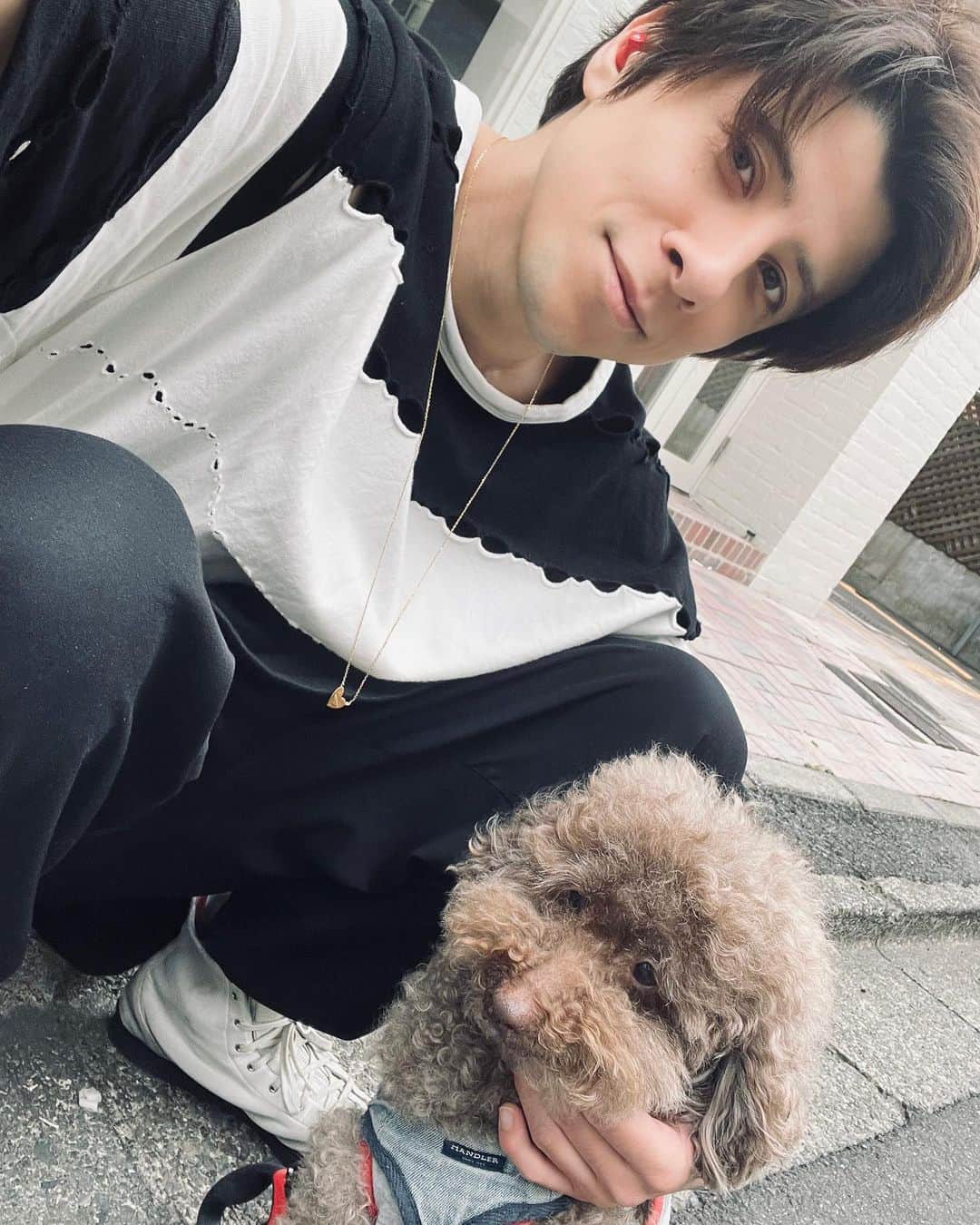 城田純のインスタグラム：「Hola!  今日は何してましたか？  僕はルークとずっと一緒に過ごしてます🧸」
