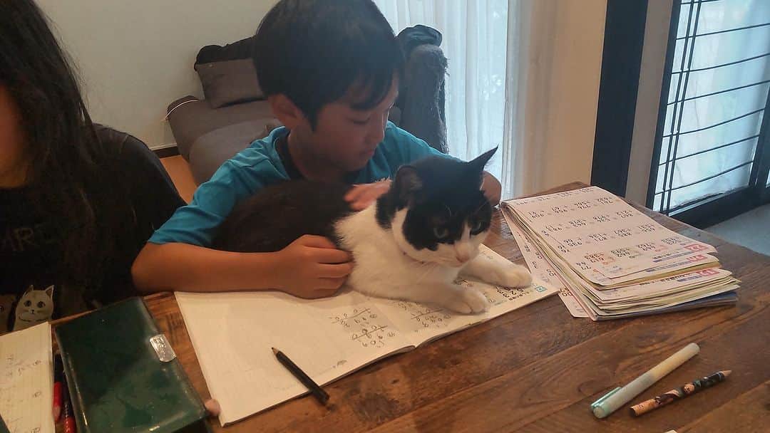 yukoさんのインスタグラム写真 - (yukoInstagram)「息子が宿題を諦めるまで」6月4日 18時30分 - yuko_flipflap