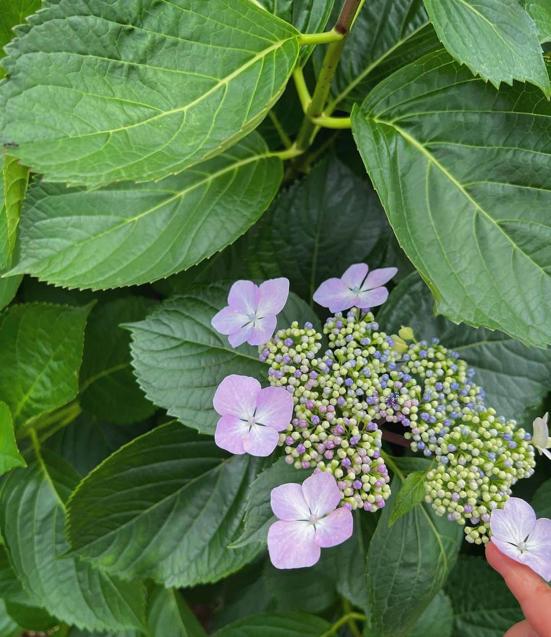 山川 二千翔のインスタグラム：「June☔️」