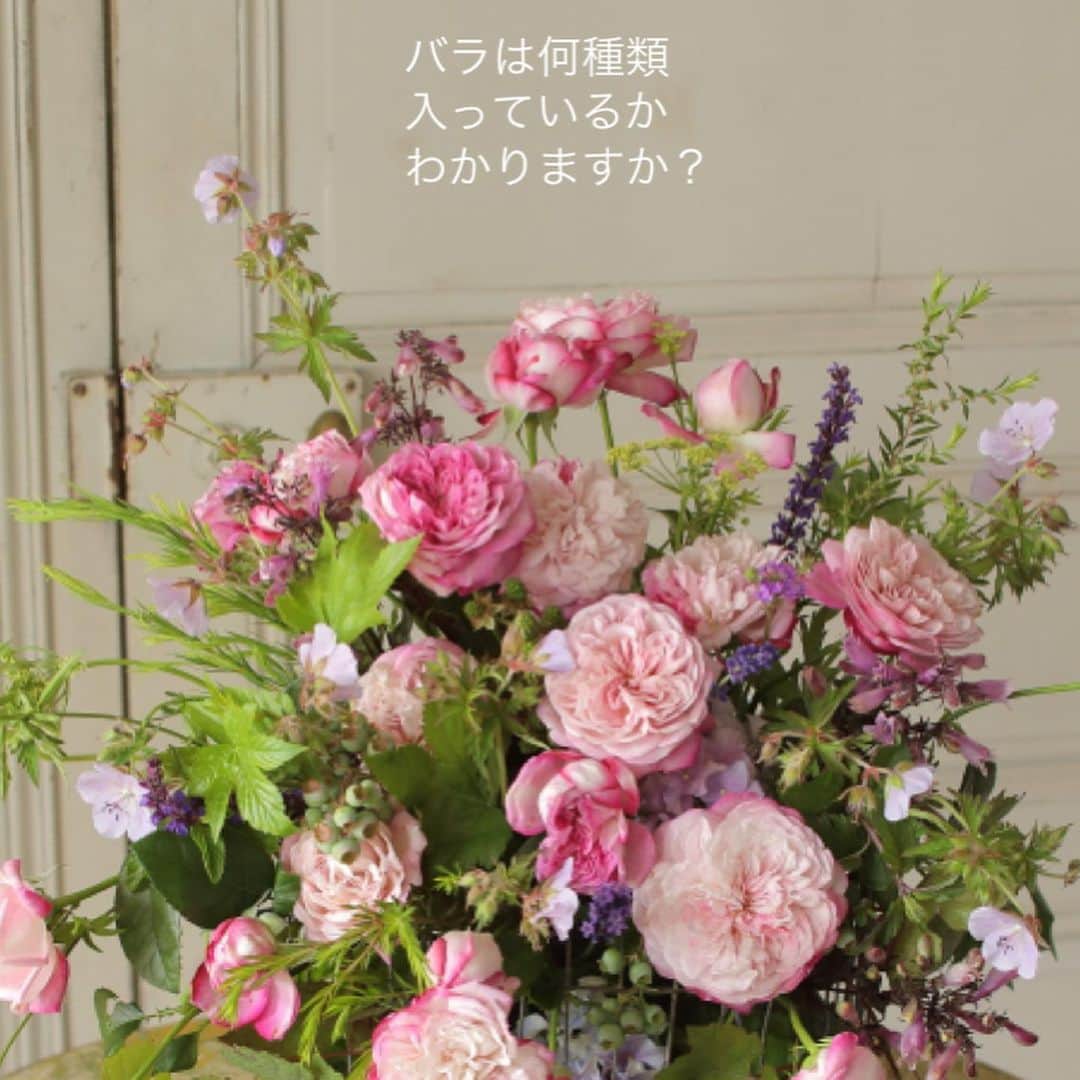雑誌『花時間』さんのインスタグラム写真 - (雑誌『花時間』Instagram)「バラ好きの皆さま🎵　待ってました！の朗報です！  花時間（@hanajikan_magazine）です。  昨年末からスタートした花時間の定期便。  6月から8月の定期便のバラは、大人気の「堀木園芸」さん @horiki_rozen のバラをお届けいたします🌹  南信州松川町でバラを育種、生産する堀木園芸さん。  人気ゆえ、予約でほとんど嫁入り先が決まってしまうため、街の花屋さんでは、ほとんどお見かけすることのないレアモノさんです😱  おしゃれな花屋さんがこぞって買いに走る、堀木さんのバラ。  定期便のＭとＬサイズ便で、季節のお花と合わせてお届けします。  暑さが心配な方のために、クール便も始めました🎐  お試し1回もあるので、ストアーズをチェックしてみてね😊。ストアーズは、プロフィール画面（@hanajikan_magazine）または、ストーリーズのリンクから飛べます。  私事ですが、引っ越しして、家に花があることの大切さを実感中😅  堀木さんのバラを飾ったら、天国気分かも？　と夢想しています（笑）  どうぞ、どうぞ、よろしくお願いいたします🤲  byピーターパン  【花時間ニュース】 💜『花時間』から、花の定期便がスタートしました🥰　世界でここだけのバラと旬花が届く嬉しいサービスです💕  💜『花時間2023春夏』〈春のピンク！夏のブルー！〉大好評発売中！  💜『花と短歌でめぐる 二十四節気 花のこよみ』大好評発売中  すべて @hanajikan_magazine のプロフィールのリンクから飛べます✈️  『花時間』本誌や書籍は全国の書店、ネット書店でも発売中✨  #花時間 #バラが好き #バラが好きな人と繋がりたい  #花の定期便 #フラワーアレンジ #花が好き #花が好きな人と繋がりたい #花を飾る #花を飾る生活 #花屋さんへ行こう」6月4日 18時53分 - hanajikan_magazine
