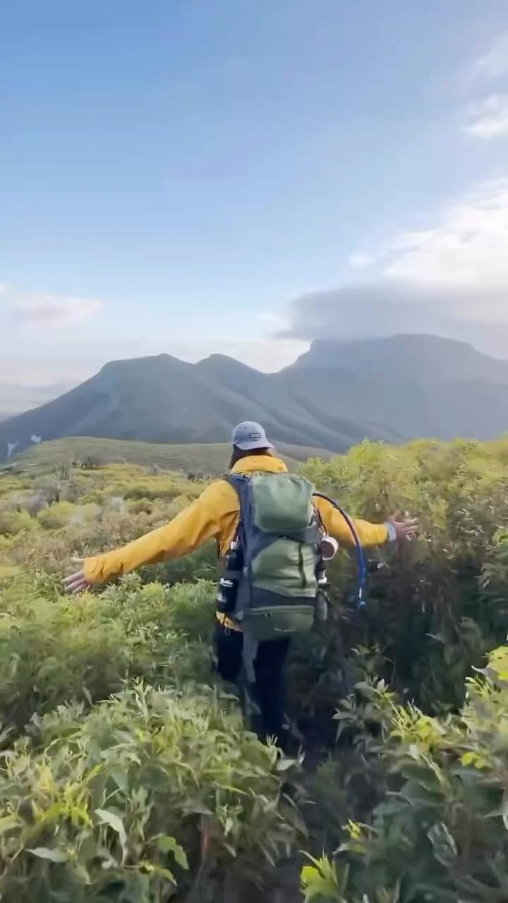 Australiaのインスタグラム：「POV: you take the most epic multi-day hike in @westernaustralia ⛰️😍 Captured here by @cambostock, welcome to #StirlingRangeNationalPark in @australias_southwest - if you're an avid hiker, this is one to add to the bucket list! Just an hour from #Albany, this @exploreparkswa is home to one of the state's highest peaks, Pualaar Miial (#BluffKnoll). Climb to the summit for jaw-dropping panoramic views of the Stirling Ranges.   🎥: @cambostock  📍: Stirling Range National Park, @australias_southwest, @westernaustralia   #seeaustralia #comeandsaygday #watthedreamstate #australiassouthwest」