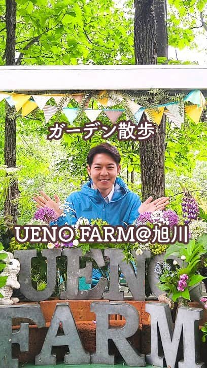 鈴木直道（北海道知事）のインスタグラム：「皆さま、今日もお疲れ様です☺⁡ ⁡ 旭川市の上野ファームに立ち寄りました💐⁡ ⁡ ちょうど雨が止み、草木の香りでいっぱいのガーデンに癒やされました🤗⁡ ⁡ 気分は朝ドラ「らんまん」の万太郎です🔎⁡ ⁡ 上野ファームは、ガーデナーのお母さんとお二人の娘さんとで素敵なガーデンを作っています🌷⁡ ⁡ フォトスポットがたくさんあり、これだけ広大なガーデンは北海道ならでは😀⁡ ⁡ 「ノームの散歩道」では、隠れているノームを発見するのも楽しかったです🙋⁡ ブランコに乗ったのは数十年ぶりでした✨⁡ ⁡ 「北海道ガーデン街道」は、大雪〜富良野〜十勝を結ぶ北海道を代表するガーデンを巡る街道🚗⁡ これから秋にかけて、次々と変化するガーデンが楽しみですね✨⁡ ⁡ とても素敵なところだったので、ぜひ皆さんもガーデンを訪れてみてくださいね☺ 皆さんの好きなガーデンがあれば教えてください💐⁡ ⁡  #北海道ガーデン街道 #ガーデン #上野ファーム #UENOFARM #旭川 #大雪 #富良野 #十勝 #ガーデン巡り #庭 #庭造り⁡ #北海道ラブ #北海道 #北海道知事 #鈴木直道 #鈴木知事 ⁡ #hokkaidolove #hokkaido #suzukinaomichi⁡」