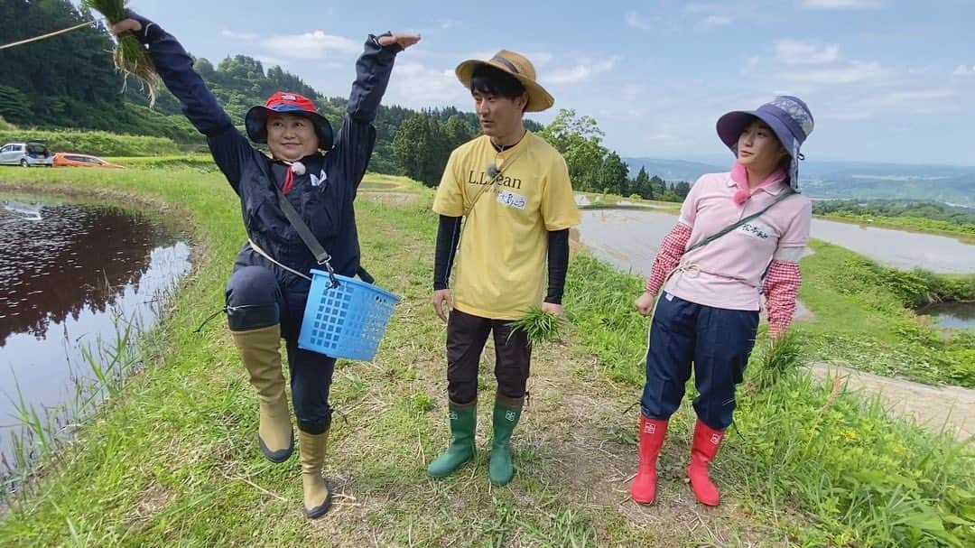 松本亜美さんのインスタグラム写真 - (松本亜美Instagram)「明日の自然派🌱 田んぼにコイしては 今年の田植えの様子をお届けします🌾 TeNYからは諸橋さんと大島くんが参戦です！  天候にも恵まれ、日差しが降り注ぐ中での作業でした！周りの皆さんと協力して、声を掛け合いながら、それぞれのペースで苗を植えていきました！  作業をしながらも不思議と余裕を感じたのは田植え2年目の成長なのでしょうか🤔まだまだスピードは遅かったかもしれないですが、今回も楽しい1日が過ごせました🌟  師匠と諸橋さん、大島くんとのやりとりも必見👀 明日の放送をチェックしてくださいね☺️  最後の2枚はあみを探せ！！ 見つけられた人はすごいです🫧  #teny #テレビ新潟  #夕方ワイド新潟一番  #自然派 #田んぼにコイして  #農業女子 #自然派田んぼ #あみ田んぼ  #田植え #みんなで協力  #うまく植えられたかな？ #ドローン写真 #あみを探せ  #アナウンサー  #諸橋碧アナウンサー  #大島巧アナウンサー  #松本亜美」6月4日 20時48分 - ami_matsumoto_teny