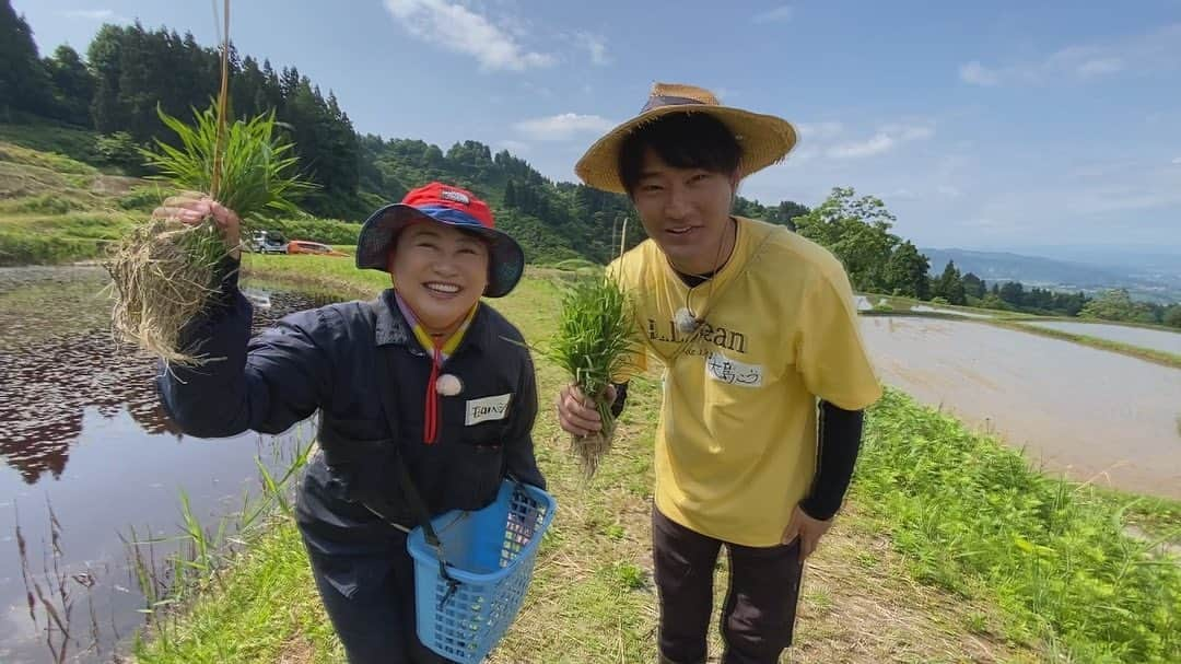 松本亜美さんのインスタグラム写真 - (松本亜美Instagram)「明日の自然派🌱 田んぼにコイしては 今年の田植えの様子をお届けします🌾 TeNYからは諸橋さんと大島くんが参戦です！  天候にも恵まれ、日差しが降り注ぐ中での作業でした！周りの皆さんと協力して、声を掛け合いながら、それぞれのペースで苗を植えていきました！  作業をしながらも不思議と余裕を感じたのは田植え2年目の成長なのでしょうか🤔まだまだスピードは遅かったかもしれないですが、今回も楽しい1日が過ごせました🌟  師匠と諸橋さん、大島くんとのやりとりも必見👀 明日の放送をチェックしてくださいね☺️  最後の2枚はあみを探せ！！ 見つけられた人はすごいです🫧  #teny #テレビ新潟  #夕方ワイド新潟一番  #自然派 #田んぼにコイして  #農業女子 #自然派田んぼ #あみ田んぼ  #田植え #みんなで協力  #うまく植えられたかな？ #ドローン写真 #あみを探せ  #アナウンサー  #諸橋碧アナウンサー  #大島巧アナウンサー  #松本亜美」6月4日 20時48分 - ami_matsumoto_teny