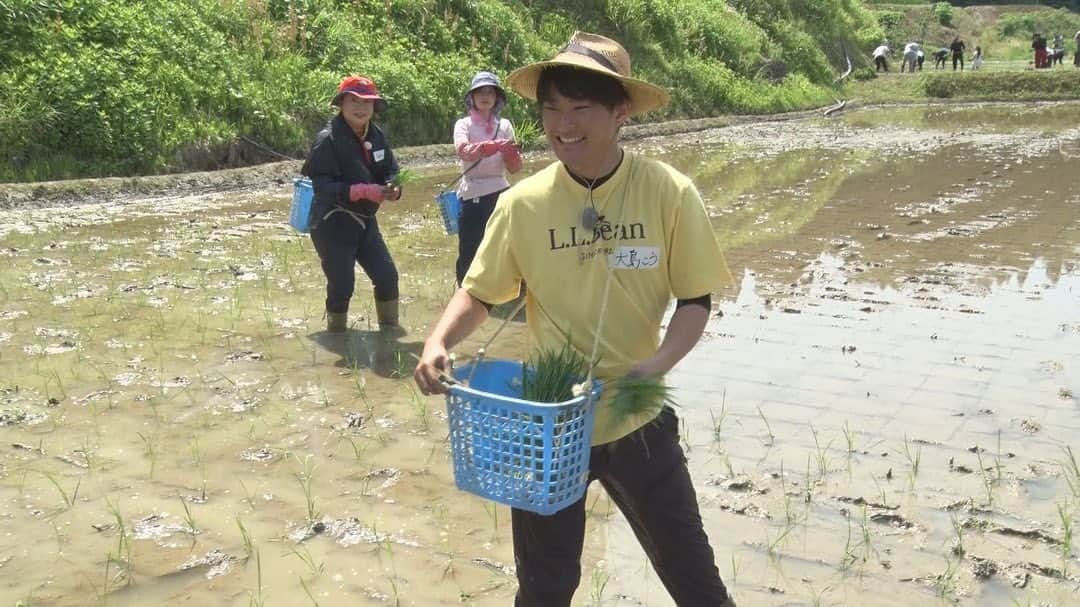 松本亜美さんのインスタグラム写真 - (松本亜美Instagram)「明日の自然派🌱 田んぼにコイしては 今年の田植えの様子をお届けします🌾 TeNYからは諸橋さんと大島くんが参戦です！  天候にも恵まれ、日差しが降り注ぐ中での作業でした！周りの皆さんと協力して、声を掛け合いながら、それぞれのペースで苗を植えていきました！  作業をしながらも不思議と余裕を感じたのは田植え2年目の成長なのでしょうか🤔まだまだスピードは遅かったかもしれないですが、今回も楽しい1日が過ごせました🌟  師匠と諸橋さん、大島くんとのやりとりも必見👀 明日の放送をチェックしてくださいね☺️  最後の2枚はあみを探せ！！ 見つけられた人はすごいです🫧  #teny #テレビ新潟  #夕方ワイド新潟一番  #自然派 #田んぼにコイして  #農業女子 #自然派田んぼ #あみ田んぼ  #田植え #みんなで協力  #うまく植えられたかな？ #ドローン写真 #あみを探せ  #アナウンサー  #諸橋碧アナウンサー  #大島巧アナウンサー  #松本亜美」6月4日 20時48分 - ami_matsumoto_teny