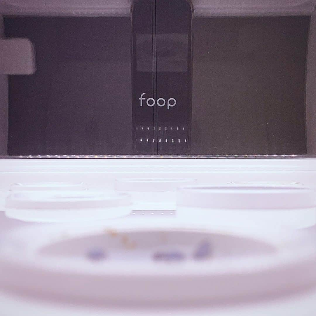 foopのインスタグラム：「#foop #iot #healthylifestyle #homemadefood #foodstagram #水耕栽培 #水耕栽培器 #家庭菜園 #植物のある暮らし #スマート菜園 #バジル #basil」