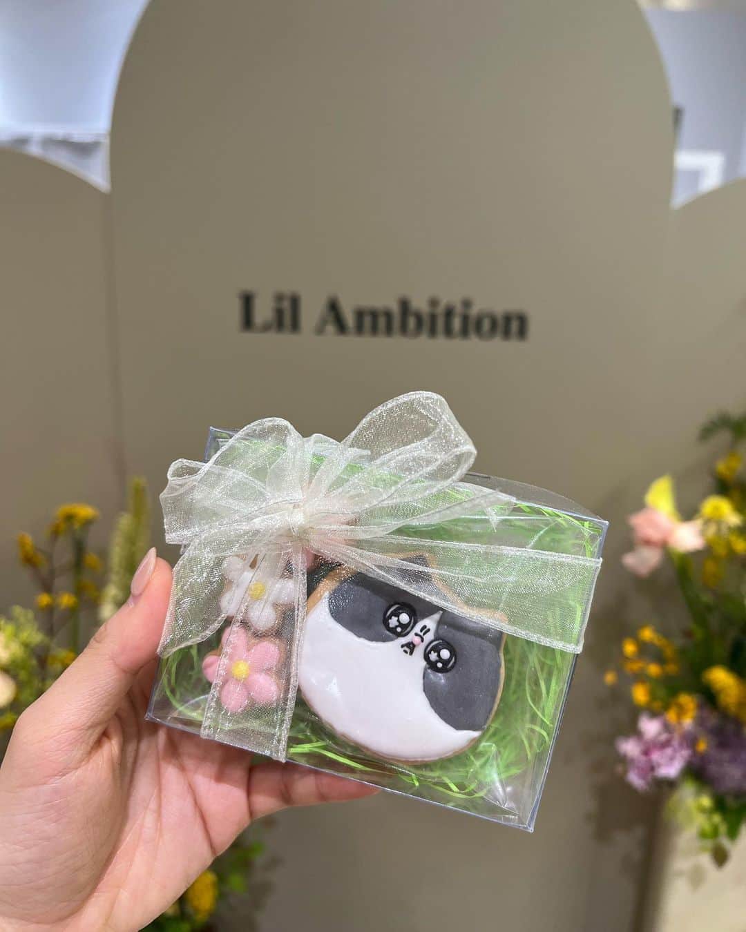 牛江桃子（ももち）さんのインスタグラム写真 - (牛江桃子（ももち）Instagram)「福岡PARCO POPUP🍎❤️ 沢山のご来店､本当にありがとうございました♡ @lilambition_official として初めての福岡上陸､想像以上にたくさんの方が来て下さり本当に本当に嬉しかったです…🥲♡ 熊本や佐賀や鹿児島から来て下さった方や､大阪や愛知から前泊して遠征して来て下さった子もいたり､､ そして印象的だったのは､リルの過去のお洋服を着て来てくれる方が多かった事！去年の春のワンピや夏のスカートなど､それぞれの私物と合わせてすっごく可愛くコーデして着てくれていて､､みんなの中の日常にリルが溶け込んでいる感覚が直接感じられて､すっごく嬉しかった｡☺️♡ みんなの中の日々の小さな野望になりたくてリルを立ち上げ早一年半｡POPUPをする度に､自分がどういう気持ちで､どんな想いを込めてリルを立ち上げたか､そしてみんなの人生の小さなキッカケの背中を押せるような存在でもっとありたいという想いが強くなり､ Lil Ambitionのお洋服を通してもっともっとみんなと大きくしていきたいなぁと改めて深く思います。また福岡に絶対に戻って来ます✊🏻🩷 もっともっと大きくなって戻ってくるから､待ってて✊🏻🩷🔥最高に可愛いお洋服をこれからもお届けするね！ ⁡ ⁡ 今日はみんな本当に本当にありがとう！ 九州にみんなに会えて本当に本当によかった。 直接ありがとうを伝えさせてくれて、ありがとう！ ⁡ 絶対にまた会おうね！九州だいすき！！！！！！ ⁡ 次は来週火曜日からの Lil Week 🗓️🩷🩷 毎日20時〜、リルライブで会おうね！またね！♡ ⁡ ⁡ #lilambition #リルアンビション」6月4日 21時09分 - momochi.661