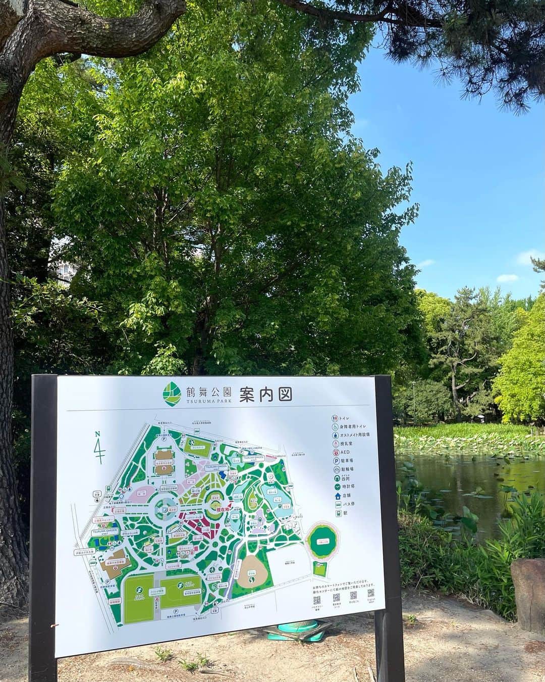 Manaさんのインスタグラム写真 - (ManaInstagram)「名古屋市に新しくできたTSURUMA GARDENへ遊びに行ってきました☺️✨ ⁡ 自然豊かな鶴舞公園の美しさはそのまま 八百屋さん、お肉屋さん、人気のカフェなど 楽しめるスポットがたくさん増えていて とても楽しかったです！⛲️💕 ⁡ ⁡ 薔薇と紫陽花も咲いていて綺麗でした😍 ⁡ コーディネートは 歩きやすいパンツコーデ🐾 ⁡ ⁡ ⁡  ⁡ #鶴舞公園 #鶴舞ガーデン #ツルマガーデン #TSURUMAGARDEN #tsurumapark #肉のスギモト ##蕎麦切り #山人 #tripotcafe #紫陽花 #ローズガーデン #春コーデ #水色コーデ #シンプルコーデ #大人カジュアルコーデ #パンツコーデ #大人シンプル #綺麗目コーデ #きれいめカジュアル #ポレーヌ」6月4日 21時20分 - mana.tcy