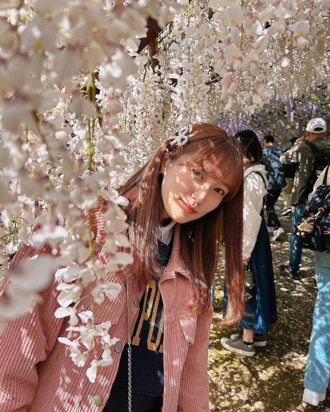 坂本 愛玲菜さんのインスタグラム写真 - (坂本 愛玲菜Instagram)「友達とおでかけしたとき☺️  藤園のおじいちゃんが、ここ数年で1番綺麗ですよ〜って言ってた(^^)ラッキー！  #藤園 #河内藤園 #福岡観光 #北九州 #北九州観光 #藤の花」6月4日 21時40分 - erena_hkt48