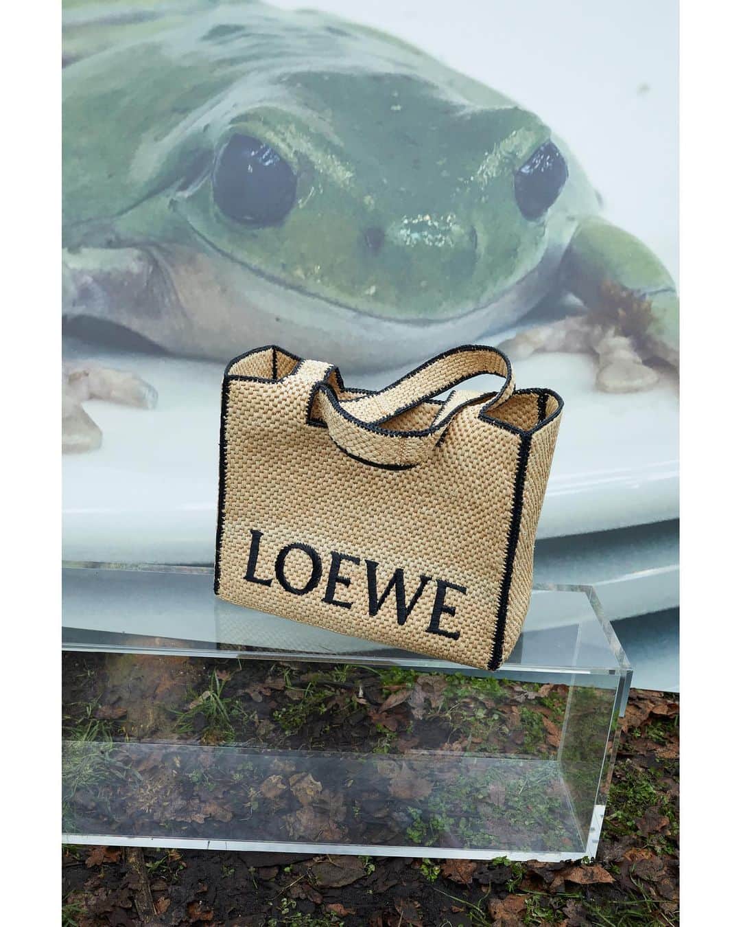 Loeweさんのインスタグラム写真 - (LoeweInstagram)「LOEWE Fall Winter 2023 precollection campaign featuring the LOEWE Font tote and 'Frogs & Plates No. 1'.  Photography Juergen Teller  Collection now available on loewe.com  #LOEWE #LOEWEFW23」6月4日 22時00分 - loewe