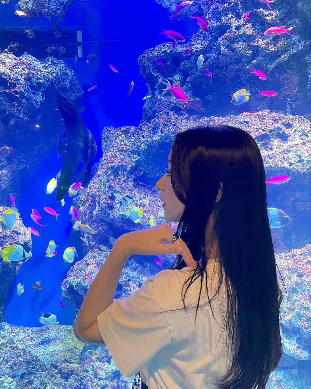 巴奎依さんのインスタグラム写真 - (巴奎依Instagram)「🦈」6月4日 22時04分 - kei_tomoe_official