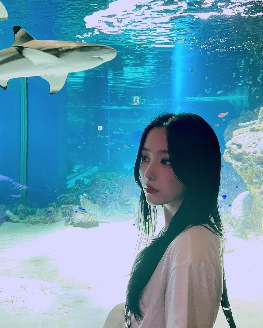 のインスタグラム：「🦈」