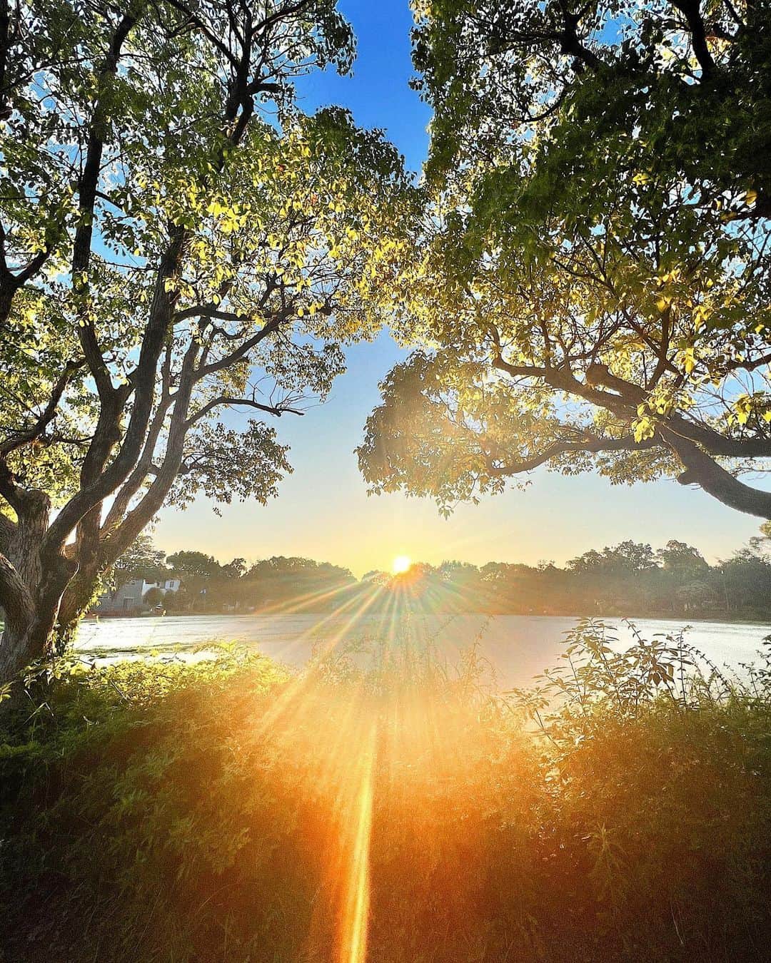 草野春香さんのインスタグラム写真 - (草野春香Instagram)「.🧡🌿🫶🏾🕊🌕  今日のお散歩中の1枚📸  #sunset  #sunsetlovers」6月4日 22時15分 - _haruka030_