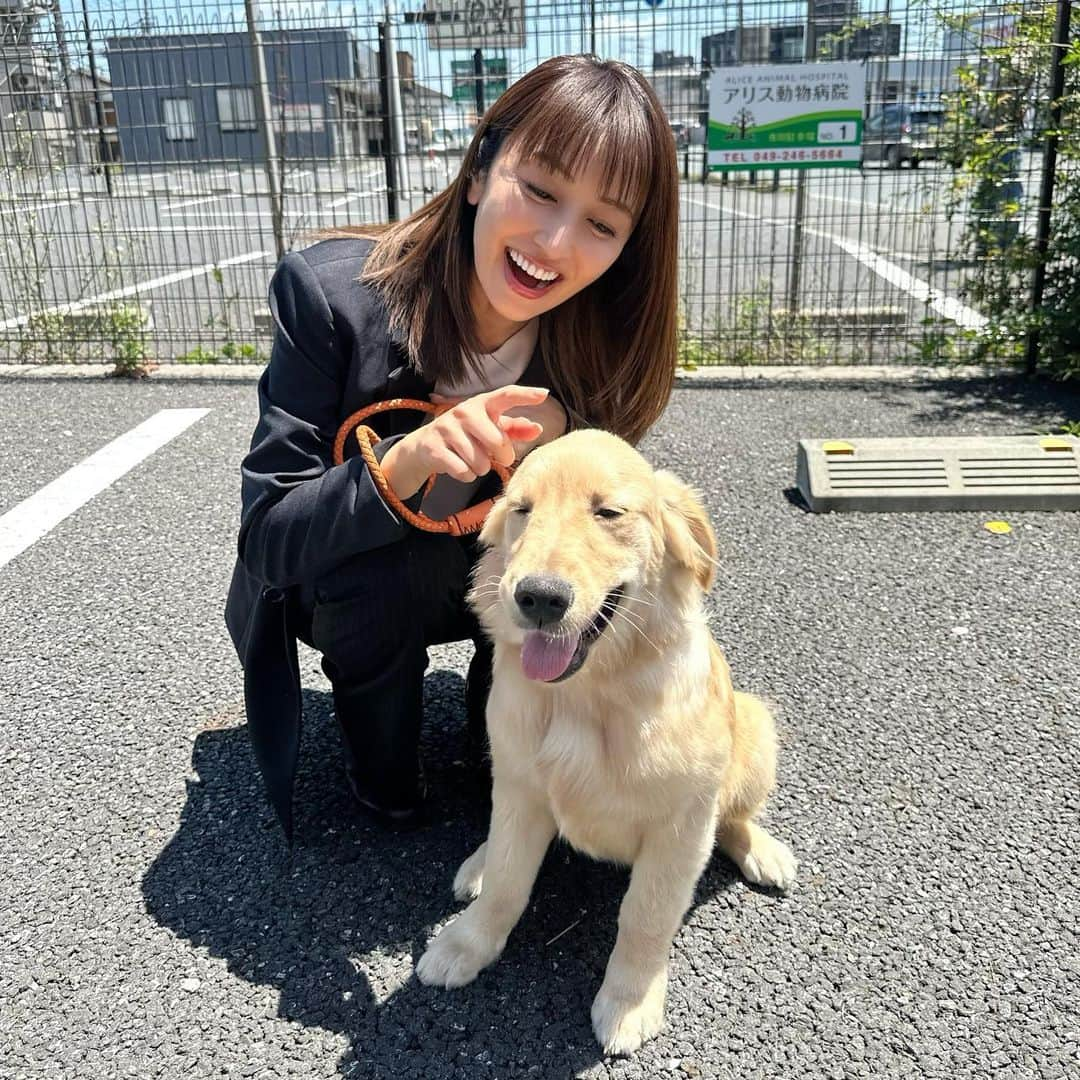 矢田亜希子のインスタグラム