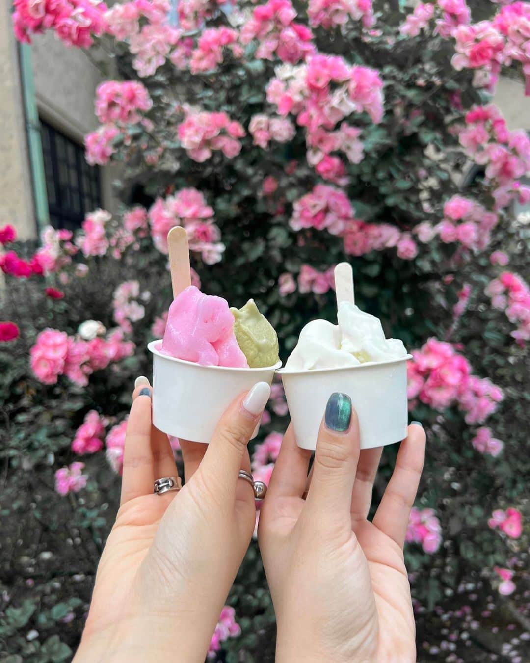 SEIKAのインスタグラム：「🌹  最近のお気に入りスポット🫶🏻」