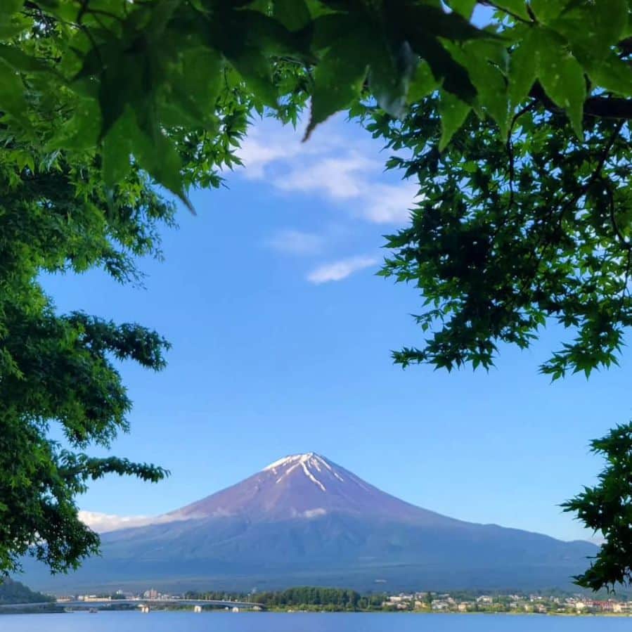 綾小路きみまろさんのインスタグラム写真 - (綾小路きみまろInstagram)「こんにちは。 綾小路きみまろです。 河口湖もすっかり初夏の景色になってきました。 富士山もポンポコ農園の花畑も最高です💗 明日もみなさまにとって 良い日になりますように✨  #綾小路きみまろ #富士山 #河口湖」6月4日 23時02分 - ayanokojikimimaro_official