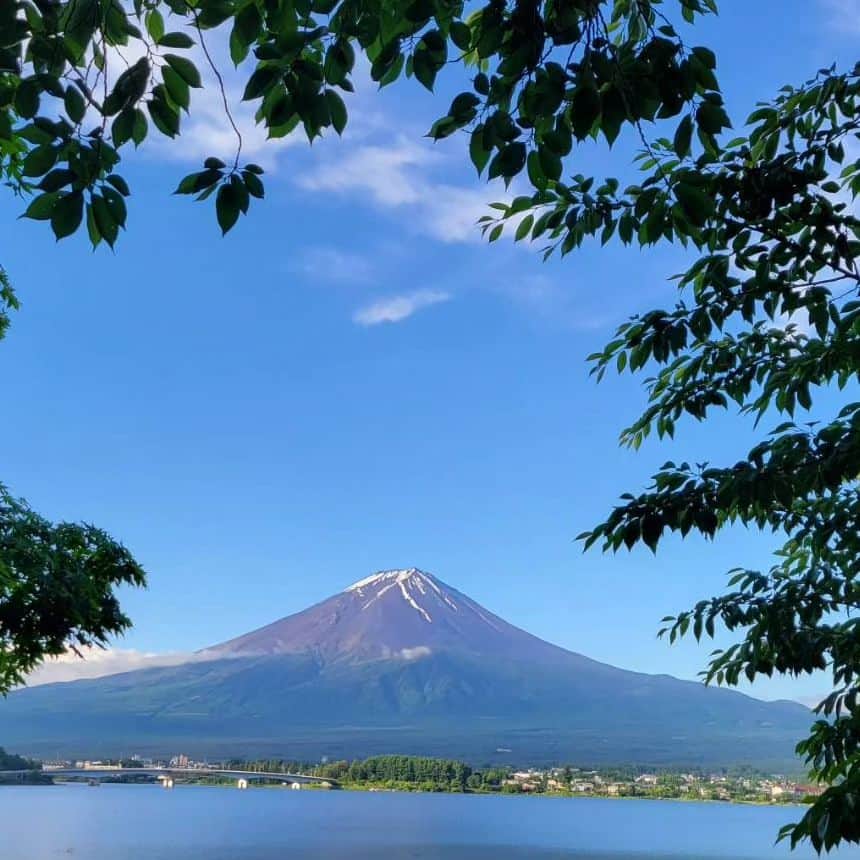 綾小路きみまろさんのインスタグラム写真 - (綾小路きみまろInstagram)「こんにちは。 綾小路きみまろです。 河口湖もすっかり初夏の景色になってきました。 富士山もポンポコ農園の花畑も最高です💗 明日もみなさまにとって 良い日になりますように✨  #綾小路きみまろ #富士山 #河口湖」6月4日 23時02分 - ayanokojikimimaro_official