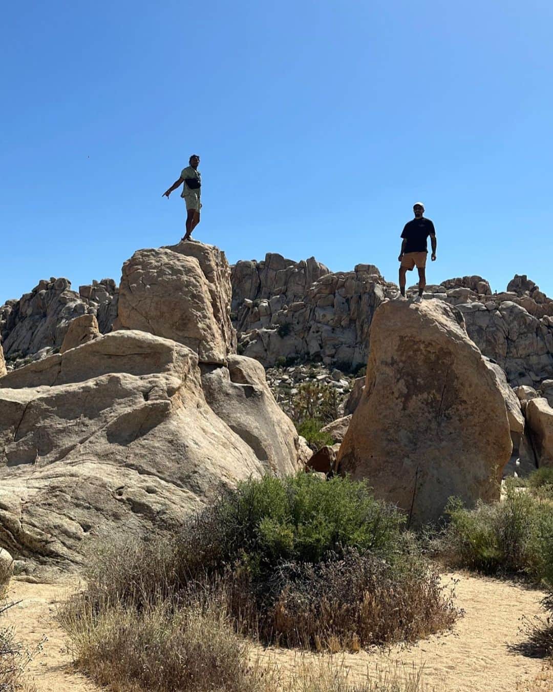シェネルさんのインスタグラム写真 - (シェネルInstagram)「Recap on some of our nature fun in LA at Joshua tree. #nature #fun #love #joshuatree #travel #travelphotography #dessert #la #friends」6月4日 23時24分 - chenelleworld
