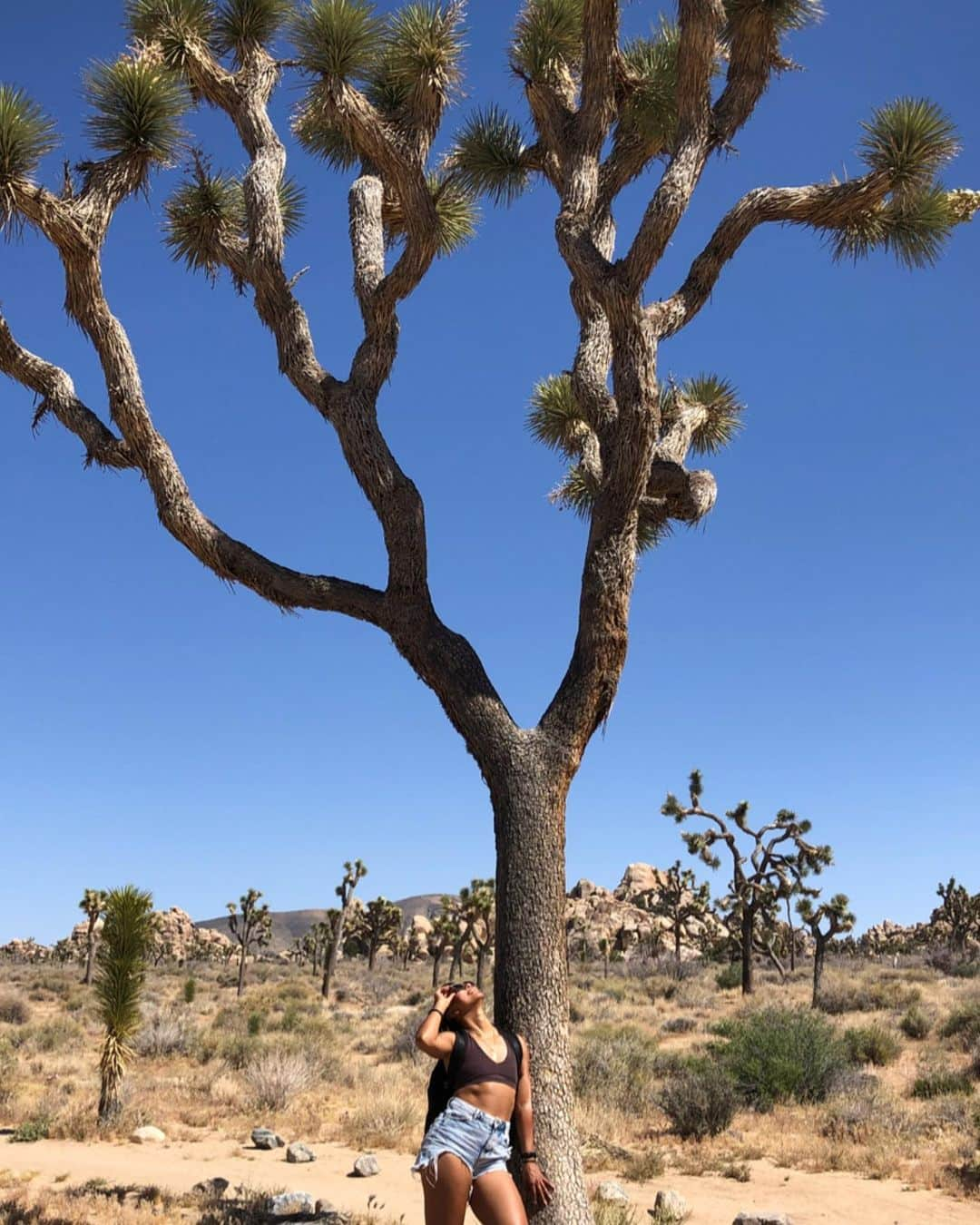 シェネルのインスタグラム：「Recap on some of our nature fun in LA at Joshua tree. #nature #fun #love #joshuatree #travel #travelphotography #dessert #la #friends」