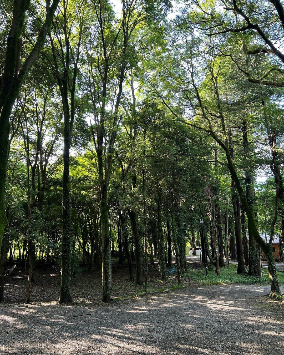MelonHarunaさんのインスタグラム写真 - (MelonHarunaInstagram)「先日、自然を感じに🐛🌳🏕️ お久しぶりの東京クラシックキャンプへ  のーんびり時間が過ぎ… ませんでした🤣 👶🏻に🐶🐶に忙しすぎて💦笑  でもここに来ると、普段絶対無理な 虫でさえも受け入れられてしまう☺️ 外で入るお風呂も最高☁️🛀♨️  #東京クラシックキャンプ #東京グランピング#グランピング#グランピングキャンプ #bbq#キャンプファイヤー」6月4日 23時53分 - melon_867