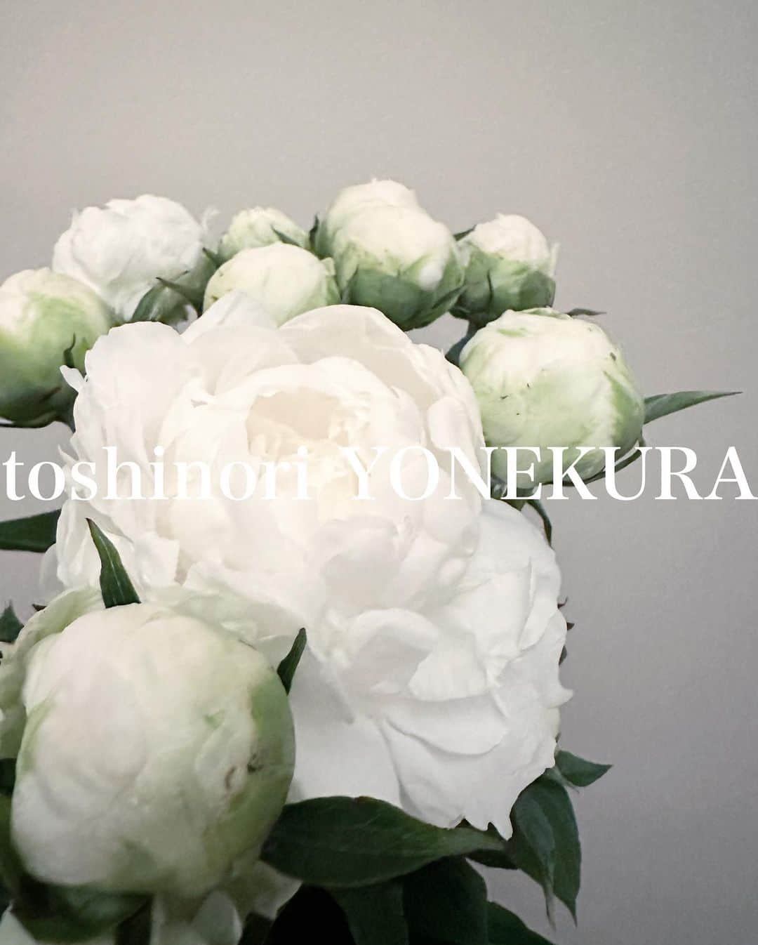 米倉利紀さんのインスタグラム写真 - (米倉利紀Instagram)「芍薬 #男花 #花のある生活 #THANKYOU」6月5日 0時28分 - toshi_yonekura