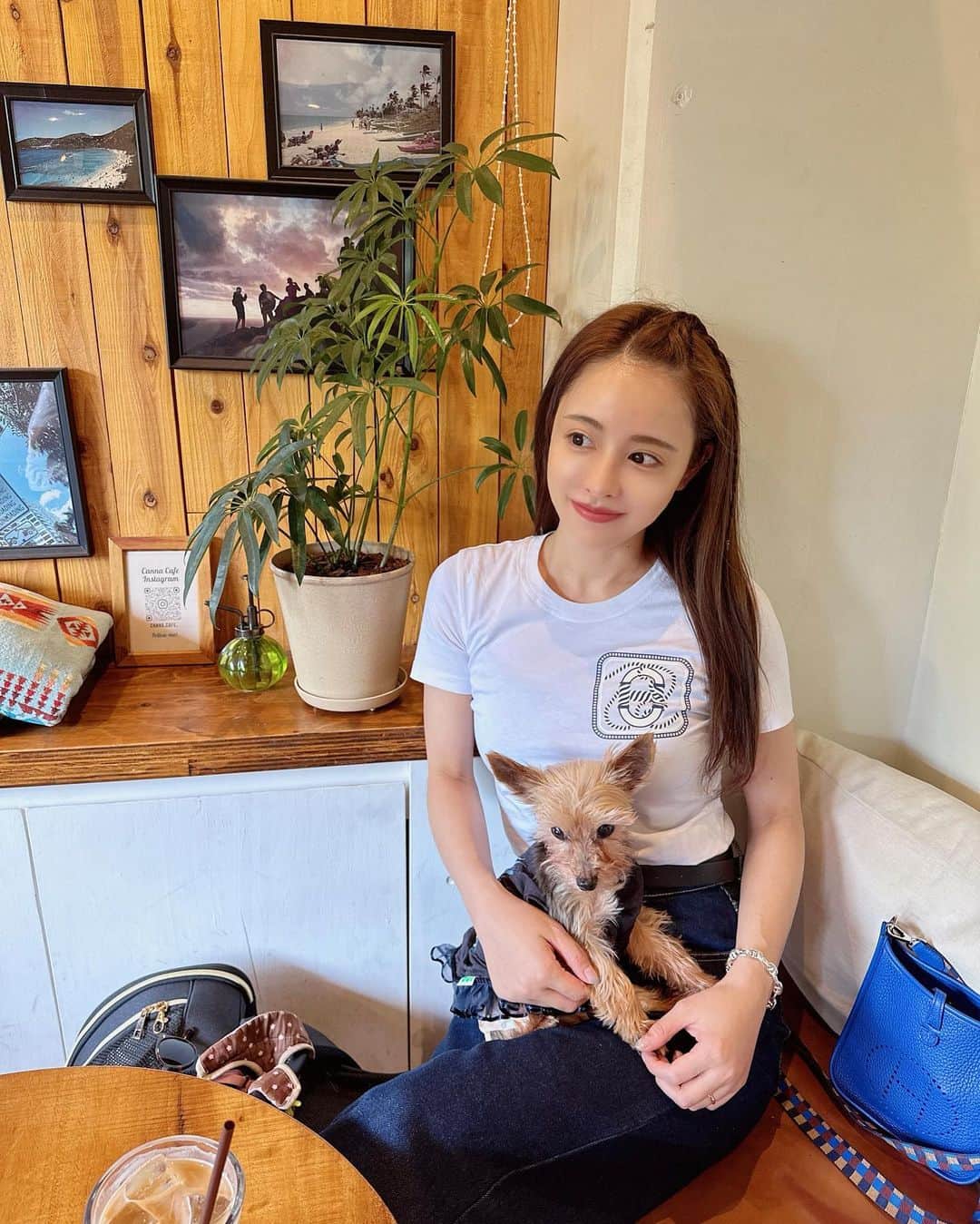 ririのインスタグラム：「緊張して🍀🐕‍🦺ずっと抱っこ抱っこ💓甘えてくる..😂💖 小さいから初めての場所は ちょっとこわいよね🌈？  #love #happy #dog #yorkie」