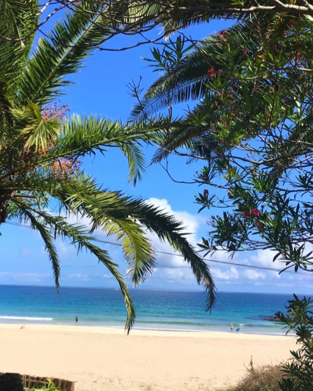 のインスタグラム：「6月スタートしてから 初投稿🐌　6月もよろしくお願いします🌴写真は入田浜🌊✨✨  L e o n a ♡ 毎年人気の カットワークパンツ🌼　今年は新色も加わりました🧡 リネンのパンツは涼しくて、 どんなtopsにも合わせやすいです♡  フロントのポケット周りと 裾のカットワークが大人ぽく、お気に入りです♡  #leona_surf #リネンパンツ  #hellojune #pinkmafia #pinkmafiasmd #izu #shimoda」