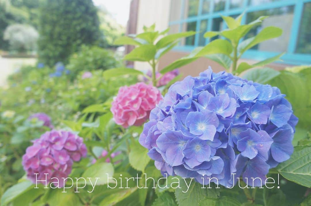 IKSPIARI イクスピアリ公式さんのインスタグラム写真 - (IKSPIARI イクスピアリ公式Instagram)「. Happy Birthday in June!!! 6月生まれの皆さまお誕生日おめでとうございます💠❕ * * #イクスピアリ #IKSPIARI #ikspiari #舞浜 #6月 #6月生まれ #お誕生日 #誕生日 #おめでとう #お誕生日おめでとう #happybirthday #birthday #june #congratulations #紫陽花 #あじさい #アジサイ #hydrangea #花 #オリーブと噴水の広場 #いつもの向こうへ」6月5日 11時15分 - ikspiari_official