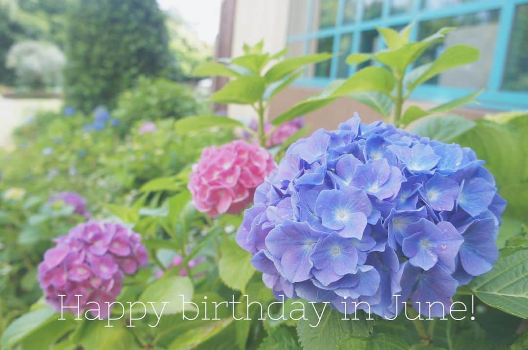 のインスタグラム：「. Happy Birthday in June!!! 6月生まれの皆さまお誕生日おめでとうございます💠❕ * * #イクスピアリ #IKSPIARI #ikspiari #舞浜 #6月 #6月生まれ #お誕生日 #誕生日 #おめでとう #お誕生日おめでとう #happybirthday #birthday #june #congratulations #紫陽花 #あじさい #アジサイ #hydrangea #花 #オリーブと噴水の広場 #いつもの向こうへ」
