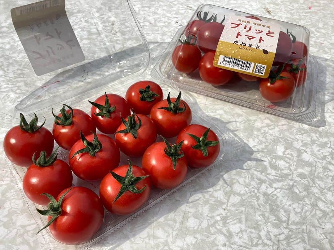 依田司さんのインスタグラム写真 - (依田司Instagram)「6月5日（月） 今年３月、茨城県常総市に誕生した“ミニトマト”の生産拠点【たねまき常総】。 世界最大級７ヘクタールを誇り、１日約５万トンの出荷を目指します。 現在施設内では、２か月前にさく付けされた株が３ｍ以上に伸び、実がたわわに実っています。赤くなった実は毎日朝に摘み取り、只今試験出荷されていますが、本日から本格的な一般出荷が始まりす。 未来の野菜工場のようでした。  #たねまき常総 #依田さん #依田司 #お天気検定 #テレビ朝日 #グッドモーニング #気象予報士 #お天気キャスター #森林インストラクター #グリーンセイバーアドバンス #プロジェクトワイルド #IPCC伝導者 #japan #japantrip #japantravel #unknownjapan #japanAdventure #japanlife #lifeinjapan #instagramjapan #instajapan #療癒 #ilovejapan #weather #weathercaster #weatherforecast」6月5日 11時15分 - tsukasa_yoda