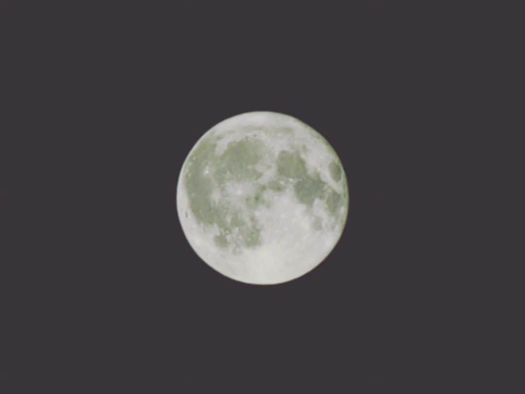 Shihoさんのインスタグラム写真 - (ShihoInstagram)「6.4.2023 Strawberry moon 🍓🌙 名前が可愛いよね  #fullmoon #strawberrymoon #galaxyカメラ部 #月 #singerslife」6月5日 11時47分 - fried_pride_shiho