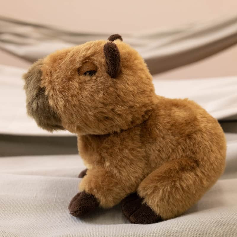 渡辺克仁さんのインスタグラム写真 - (渡辺克仁Instagram)「那須どうぶつ王国で購入した手のひらよりはみ出すぐらいの大きさのぬいぐるみ、1540円。肌触りが柔らかくモフモフ感が強い。㈱サンレモンという会社が販売元で「フラッフィーズ」シリーズ。エコ素材で製作されているとタグに記載されている。  #カピバラ #水豚 #capybara」6月5日 11時58分 - katsuhito.watanabe