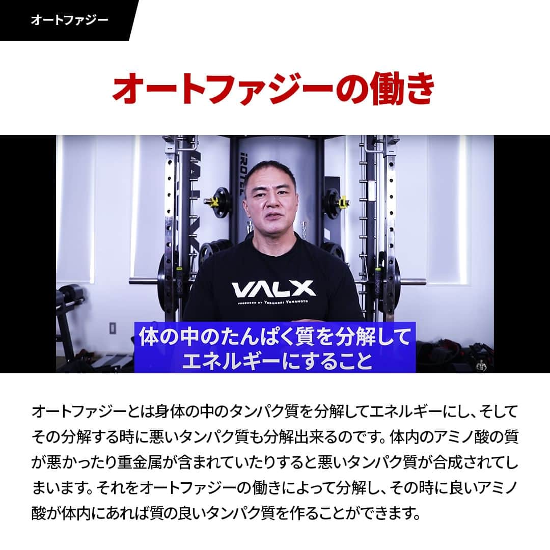 山本義徳さんのインスタグラム写真 - (山本義徳Instagram)「@valx_official👈 過去投稿はこちらから！  今回は1日の食事回数について解説しました！  1日で3回の食事＋3回のプロテインがおすすめになりますが 3回のプロテインの際に、バナナやおにぎりなどの軽食をプラスすると良いでしょう。  例えば、トレーニングの前におにぎりとプロテイン、 トレーニングが終わってからバナナとプロテイン、 そして寝る前はプロテインだけ、などが良いでしょう！  そうすることで、体脂肪が増えにくく、胃腸への負担も少なくなるでしょう。  オートファジーも一つの方法ですが、 ある程度筋肉を増やしたい、あまり消化能力が強くないという人は 3食＋3食軽食とプロテイン、という食事回数を設定していただければと思います！  ーーーーーーーーーーーーーーー  @valx_official では #筋トレ #ダイエット  #栄養学 関する最新情報発信中です🔥  登録者65万人【山本義徳 筋トレ大学】も要チェック🔎  コメントにはストーリーズでランダムに返答します👍  ーーーーーーーーーーーーーーー #筋肥大 #筋肉発達 #ウェイトトレーニング #ワークアウト #トレーニング #エクササイズ #バルクアップ #トレーニー #ボディビルダー #ダイエット方法 #筋力アップ #フィットネス #フィジーク　#減量　 #ボディメイク #筋トレ好きな人と繋がりたい #valx #valx筋トレ部 #筋トレ習慣 #筋トレルーティン」6月5日 12時00分 - valx_kintoredaigaku