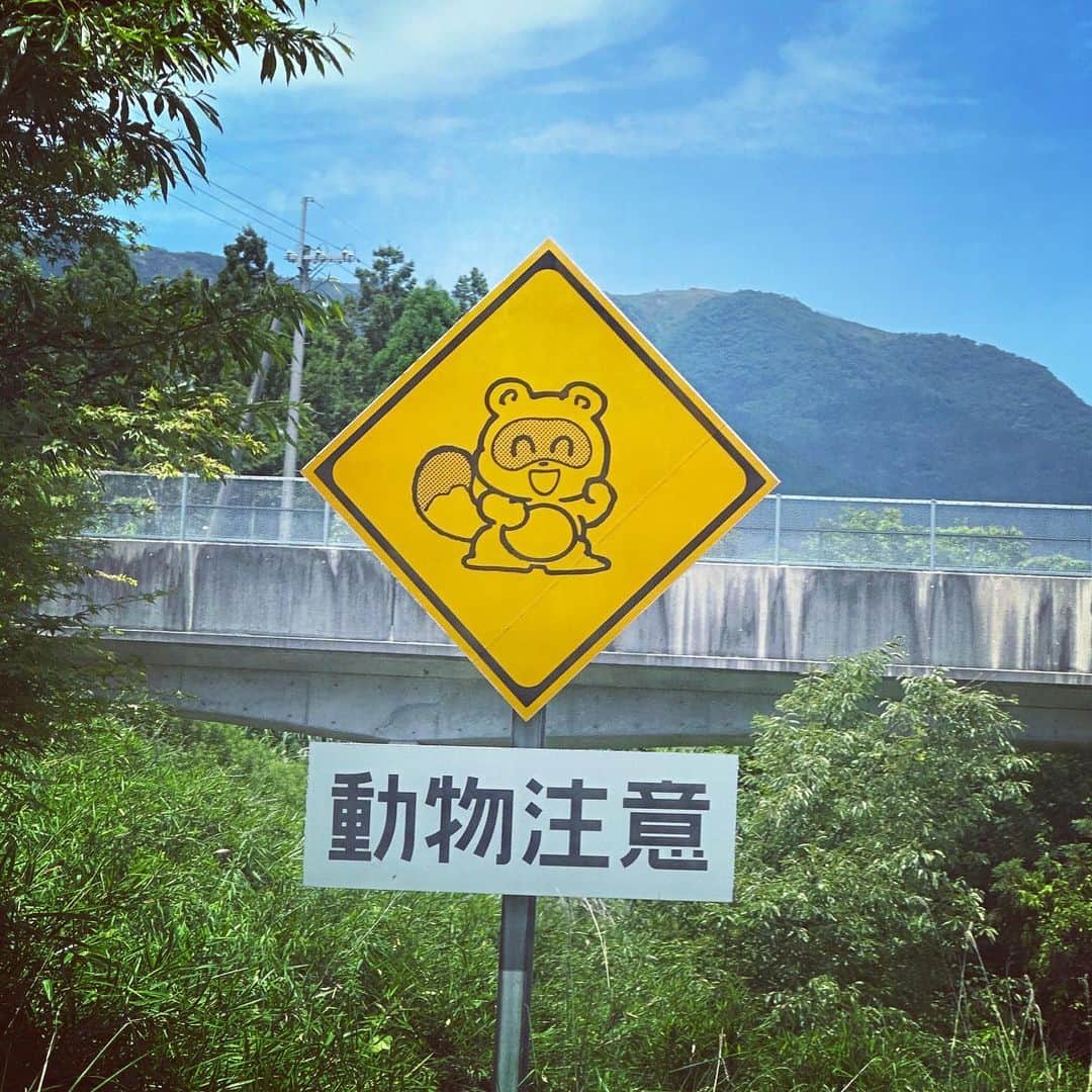 ただすけのインスタグラム：「どんな動物が出てくるのかな？」
