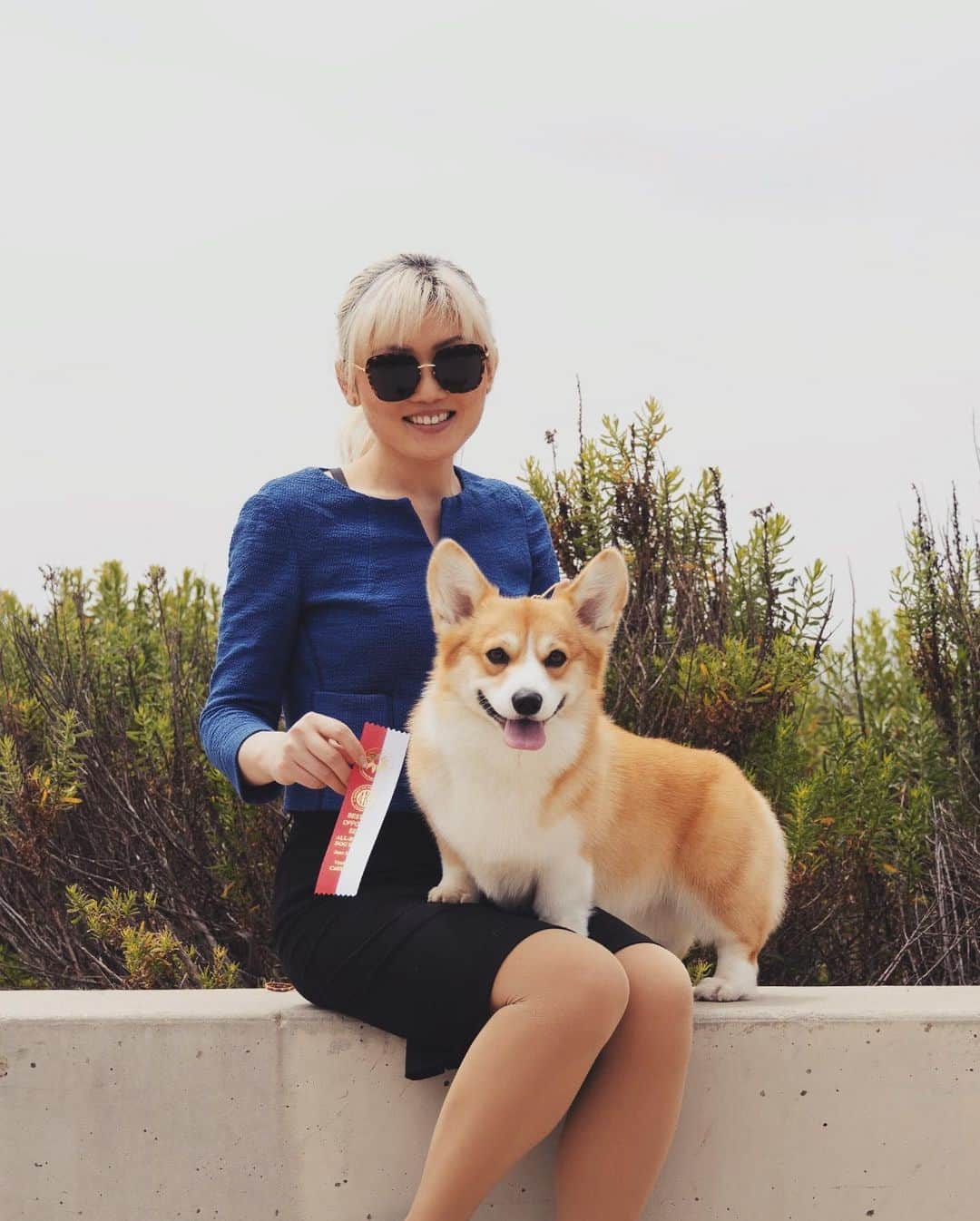Geordi La Corgiさんのインスタグラム写真 - (Geordi La CorgiInstagram)「📣Introducing new Grand Champion Agatha! She earned the last points needed for her GCH title this weekend in Ventura. She is now: GCH Capriccio’s Spirit in the Spotlight!   It’s been a blast showing this feisty little lady, and after today she gets to take a well-deserved break from conformation. 💛 Congrats @capricciocorgis on your first homebred AKC CH & GCH! 🎉  And happy international corgi day to all!」6月5日 4時44分 - lacorgi