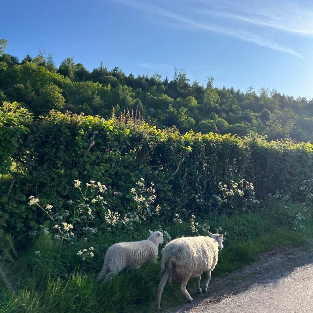 デュア・リパさんのインスタグラム写真 - (デュア・リパInstagram)「A perfect weekend in Hay-On-Wye for @hayfestival ~ felt so lucky to be among so many brilliant authors, writers and booklovers to launch our @service95 bookclub!!! Thank you @douglas_stuart for being such a wonderful podcast guest infront of a very kind and engaged live audience (our episode will be available June 16th) and thank you Gaby Wood for interviewing me today on the “Stories Of My Life” with some lovely audience questions to follow📚❤️」6月5日 5時12分 - dualipa