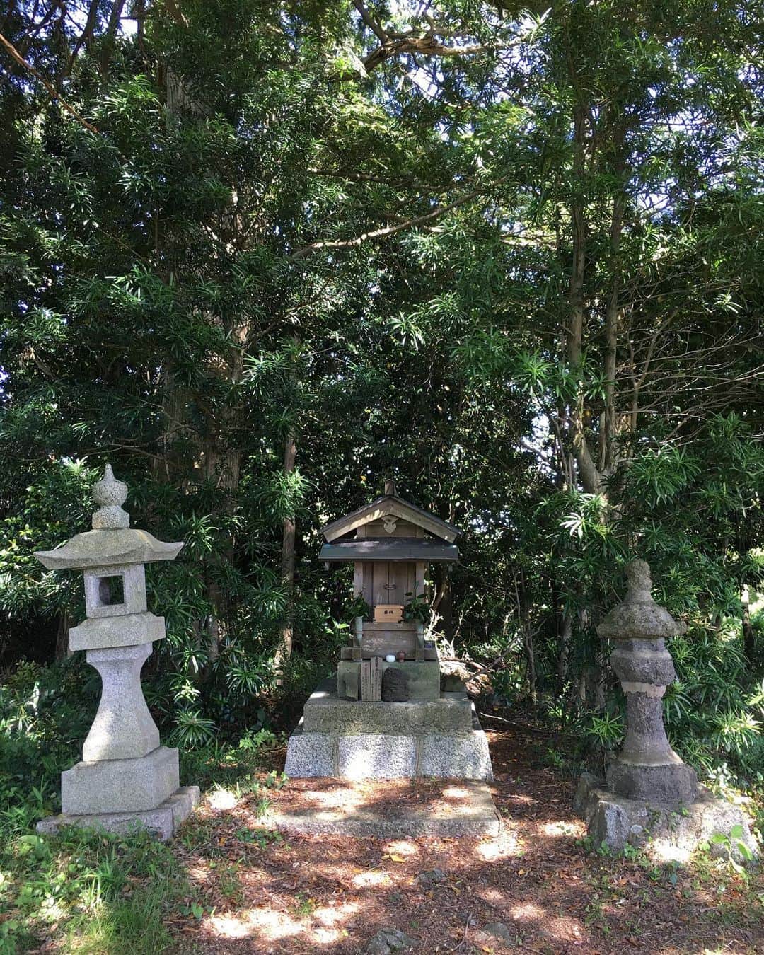 近藤淳子さんのインスタグラム写真 - (近藤淳子Instagram)「おはようございます✨  先日、日本酒チームで奈良の蔵を巡り、取材させていただきました。  それぞれの蔵の歴史、風土、哲学に直に触れることができました。  やはり「百聞は一見に如かず」ですね。学んで感じたことが、大きく広く深く…必ず恩返しできるように精進していきます。  #風の森  #油長酒造 #篠峰 #千代酒造 #日本酒🍶  #奈良  #日本酒チーム最高 #一生勉強」6月5日 6時28分 - kondo_junko_
