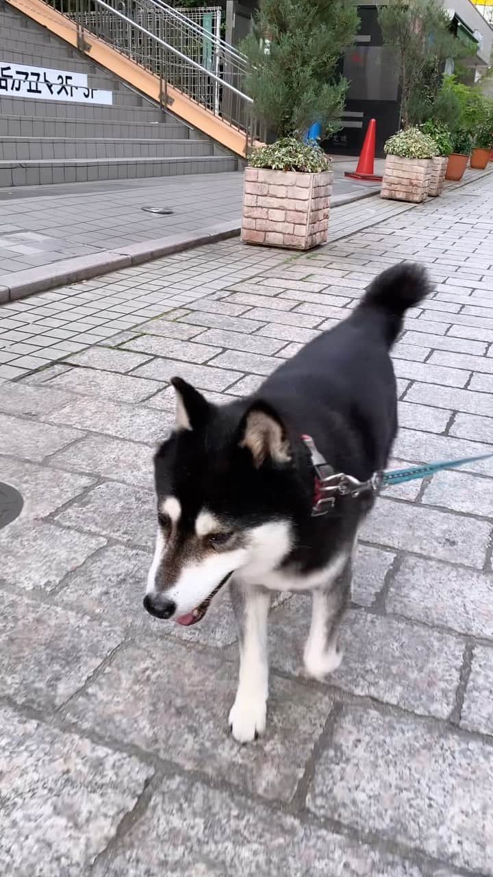 くろのグルメインスタ