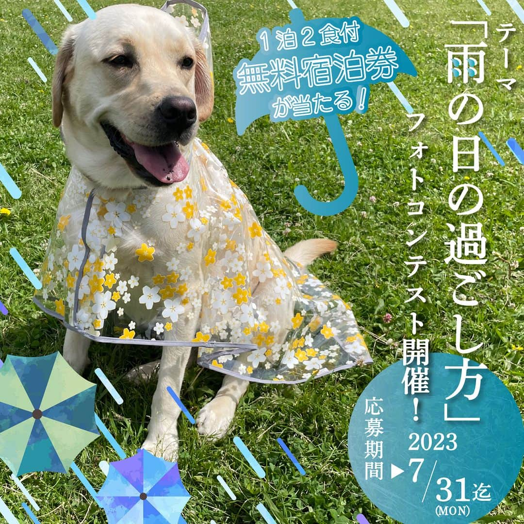 ゆとりろ洞爺湖のインスタグラム：「6組12名様＆わんちゃん 宿泊ご招待✨ ◼︎雨の日の過ごし方　フォトコンテスト◼︎開催🎉  大人気のフォトコンテスト企画を今年も開催！ 今回のテーマは愛犬との「雨の日の過ごし方」☔  優秀作品に選ばれた方&わんちゃんは #リロホテルズリゾーツ のわんちゃんと泊まれる宿泊施設へご招待します🎁！  さらに、素敵なフォトコン応募作品は公式アカウント内でご紹介！ 沢山のご応募お待ちしております🐶  ———————————————— 雨の日の過ごし方☔フォトコンテスト　詳細 ————————————————  ［参加方法］ ① RHR with DOGS公式インスタグラムをフォロー ▷ @rhr_with_dogs  ② 愛犬の雨の日の過ごし方を撮影 🎉 Relo Hotels＆Resortsの施設で撮影した写真も大歓迎！  ③ 撮影した写真を「 #RHR愛犬と雨の日の過ごし方」のハッシュタグをつけて投稿 🐾複数の投稿もOK！  ④泊まりたい施設を以下の中からメンション （何施設でもOK！） ◇ゆるり西伊豆（ @yururi_nishiizu ） ◇ゆとりろガーデン北軽井沢with DOGS（ @yutorelo_garden_kitakaruizawa ） ◇ゆとりろ蓼科ホテルwith DOGS（ @yutorelo_tateshina ） ◇わんこの宿ゆるり（ @wanko_yururi ） ◇ゆとりろ洞爺湖（ @yutorelotoyako ） ◇レイセニット城崎スイートVILLA（ @reyzenit_kinosaki ） ————————————————  ＜応募期間＞ 2023年7月 31 日(月)まで   ＜当選賞品＞ わんちゃんと泊まれる宿泊施設へご招待 ＜一泊二日2食付き＞ （下記対象施設 各1組2名様&わんちゃん） ◇ゆるり西伊豆｜静岡県 ◇ゆとりろガーデン北軽井沢with DOGS ｜群馬県 ◇ゆとりろ蓼科ホテルwith DOGS｜長野県 ◇わんこの宿ゆるり｜大分県 ◇ゆとりろ洞爺湖｜北海道 ◇レイセニット城崎スイートVILLA｜兵庫県  宿泊期間：　2023年10月1日～2024年3月31日 ※土曜日・祝前日・特日除く平日限定※  ＜選考結果発表＞ 2023年8月上旬 DMにて個別にご連絡の上、公式Instagram上でも発表予定！　  ＜賞品発送＞ 2023年8月中に発送 ※ご当選のご連絡は、応募期間終了後に @rhr_with_dogs よりお送りいたします。  #rhrwithdogs #ゆるり西伊豆 #ゆとりろガーデン北軽井沢 #ゆとりろ蓼科ホテル #ゆるり西伊豆 #わんこの宿ゆるり #ゆとりろ洞爺湖 #レイセニット城崎 #ドッグラン付きホテル #わんこと泊まれる宿 #ペットと泊まれる宿 #わんこと旅行 #ペットと旅行 #犬と旅行 #犬好きな人と繋がりたい #いぬすたぐらむ #蓼科ホテル #北軽井沢ホテル #西伊豆ホテル #別府ホテル #洞爺湖ホテル #城崎ホテル #フォトコンテスト #フォトコン #プレゼントキャンペーン」