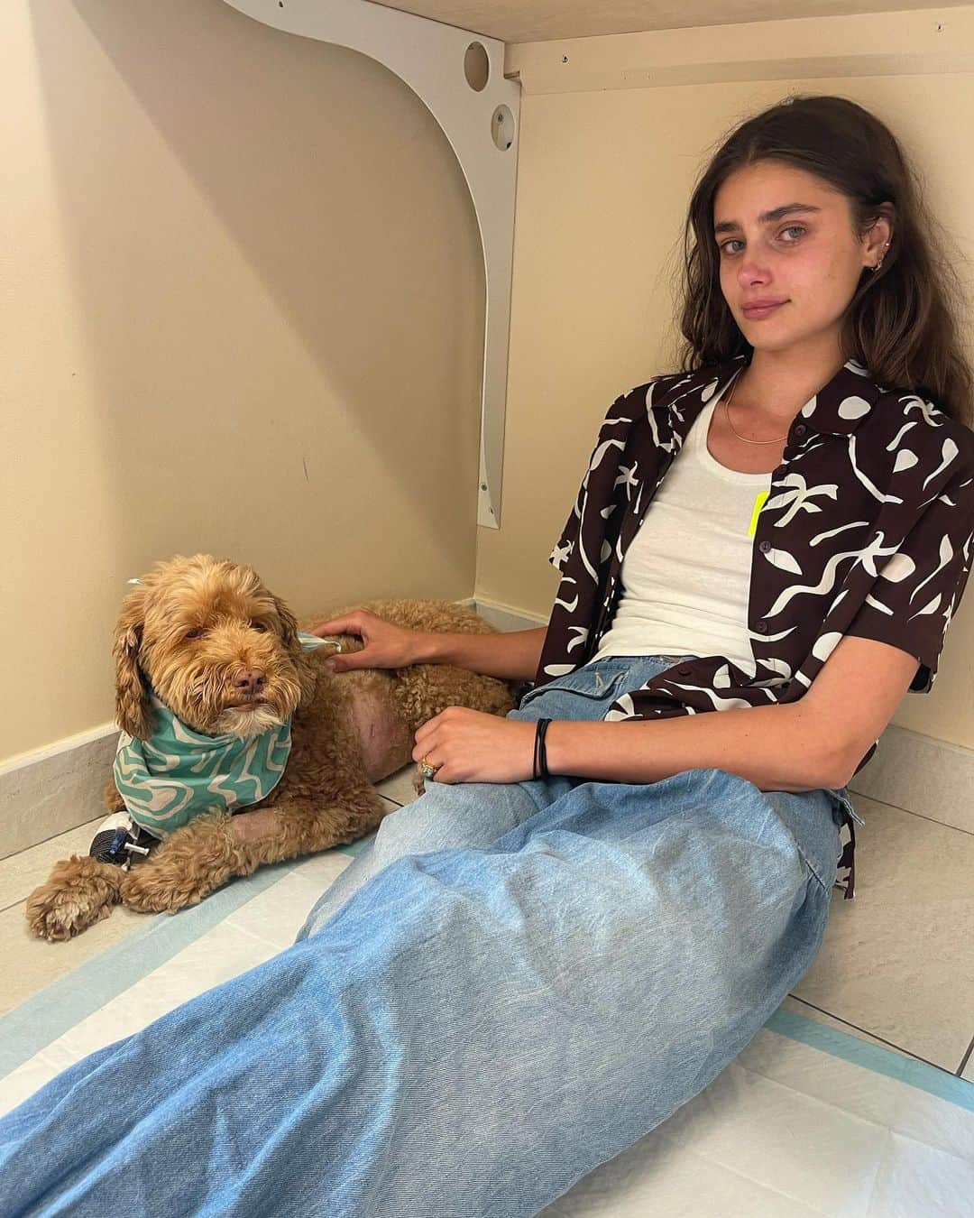 テイラー・ヒルのインスタグラム：「Last week Tate was diagnosed with lymphoma and three days later his health took a turn for the worse. He was taken to the emergency room on Wednesday and has been in the ICU since. I’ve been out of town working while all this has been happening and I just got back and got to see him today. I could tell he was in a lot of pain and he was very weak. I’m not sure how much time I’ll have left with him at this moment. It all happened so fast, he was fine one day and his normal self and within 24 hours he was the sickest I’ve ever seen him. He’s being treated and has been under the best care and I’m so thankful to all the nurses and doctors who are looking after him. Tate is my heart and my soul mate so it’s been extremely painful seeing him feeling this way. I’m sharing this because I know there are so many people out there who love Tate so much, he’s been such a big part of my life and I wanted to let everyone know what we’re going through. And I just want to thank everyone for loving Tate as much as you all have. I could always feel the love this community has had for him since he was just a little baby.」