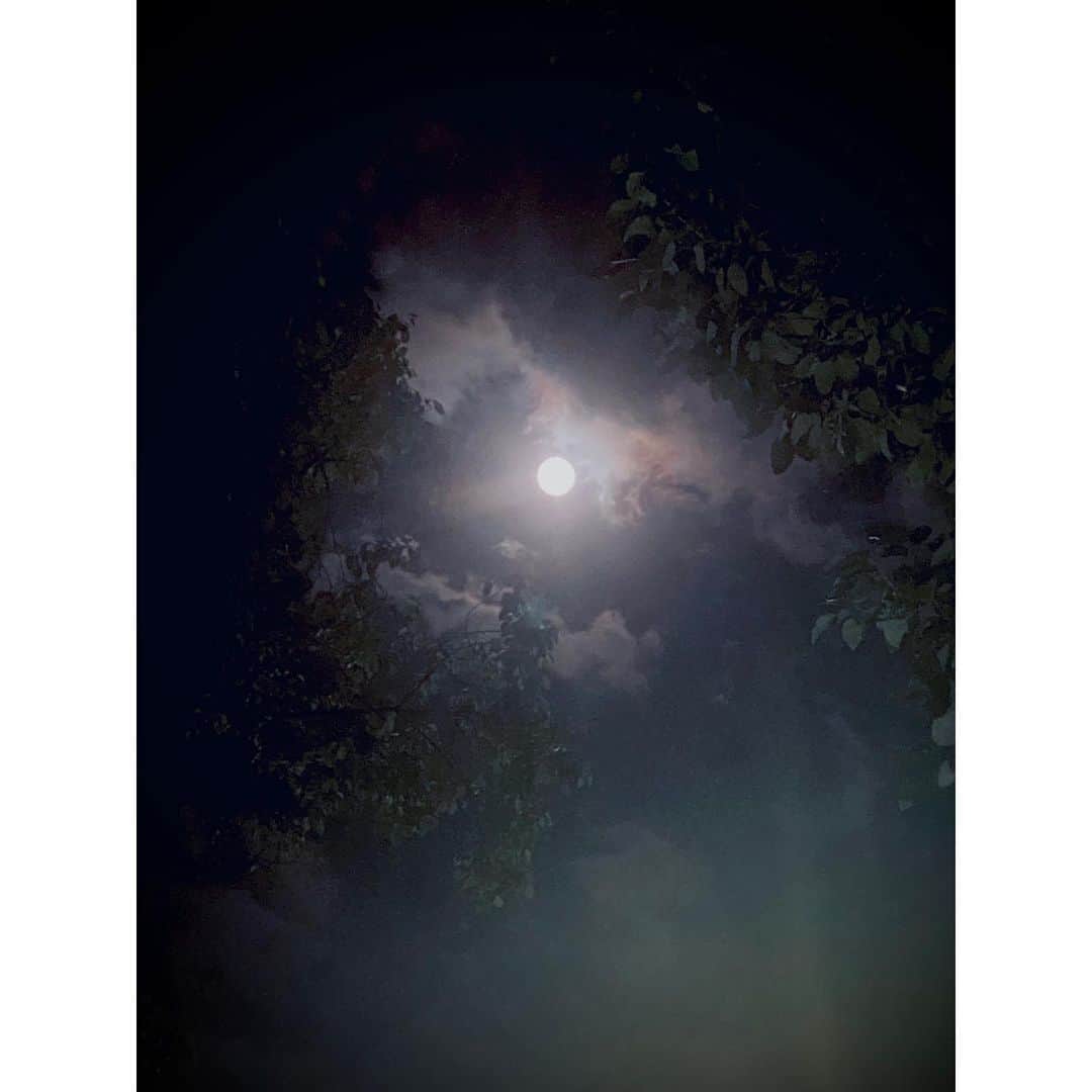今泉マヤさんのインスタグラム写真 - (今泉マヤInstagram)「🍓🌕  月のうつくしさをそのままに 撮るのは難しい。だからこそ “しっかり視よう”と思います  #strawberrymoon #yesterday」6月5日 7時55分 - maya.imaizumi