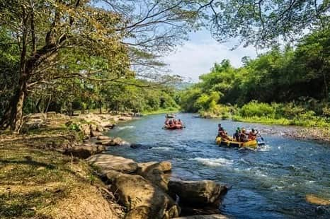 タイ国政府観光庁さんのインスタグラム写真 - (タイ国政府観光庁Instagram)「. タイの「ナムサイ運河」からおはようございます☀️ᐝ  クラビ県にある昔ながらの生活を営むコミュニティ「バーン・ノーンタレー」を流れるナムサイ運河✨ 自然の湧き水からできたこの川は、日光が反射するとエメラルドグリーンに輝きます💚  水質はよく澄んでいて、泳ぐことができるため、下流は人気の水遊びスポット🤿🩵 さらにカヤックのレンタルポイントが点在し、ウォーターアクティビティも楽しめます🚣‍♀️　大自然の中、オールを漕げば、心も体もリフレッシュできそうですね☺️  ほかにもバーン・ノーンタレーでは、野鳥観察や伝統音楽鑑賞、自転車で巡るタイの伝統家屋見学など、観光プランが目白押し!!　日帰りや半日ツアーで旅程に組み込んでみるのもおすすめです👍  今日も素敵な1日をお過ごしください💐  ★参考になった！と思ったら、あとで見返せるように、 画像右下にある保存ボタン🔖をタップ！  #タイ #クラビ #バーンノーンタレー #ナムサイ運河 #グリーンツーリズム #エコツアー #自然が好き #自然が好きな人と繋がりたい #今こそタイへ #こんなタイ知らなかった #もっと知りタイ #はじめてのタイ #タイ旅行 #クラビ旅行 #旅好きな人と繋がりたい #旅行好きな人と繋がりたい #海外旅行 #thailand #krabi #bannongtalae #khlongnamsai #ecotourism #sustainabletourism #amazingthailand #thailandtravel #thailandtrip #thaistagram #lovethailand #amazingnewchapters」6月5日 8時00分 - amazingthailandjp