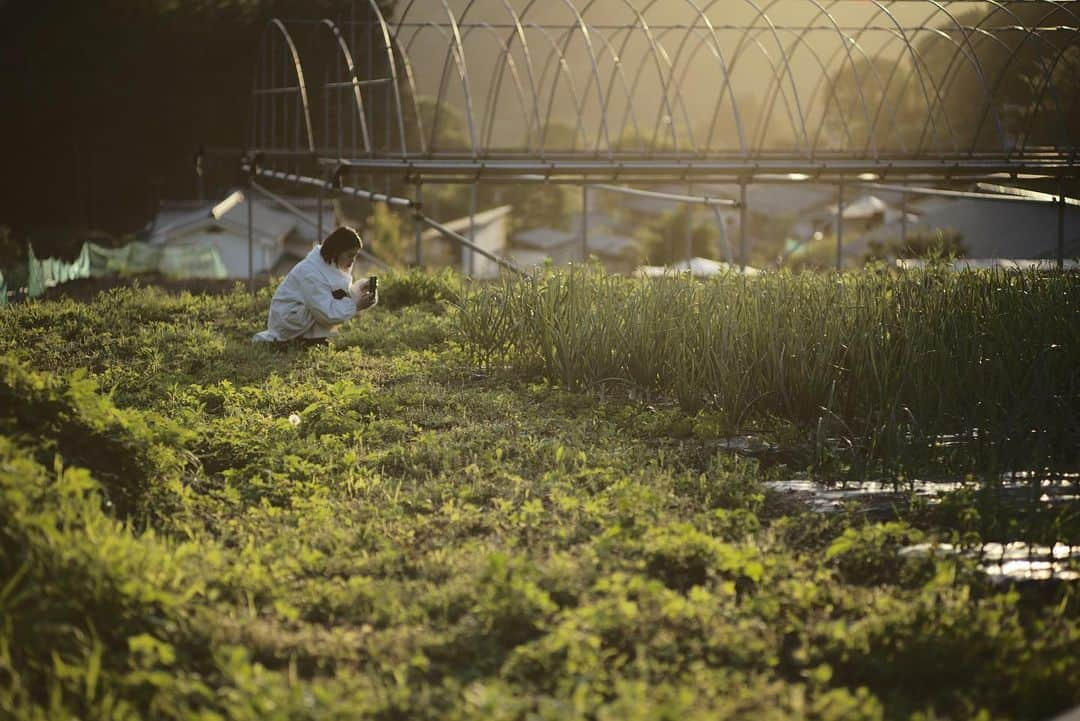 谷尻誠さんのインスタグラム写真 - (谷尻誠Instagram)「畑のことを学ぶために、とれたて野菜を届けているベジモの小林さんに会いに御代田に行って来た。 不思議なもので、歳をとると昔のことにどんどん引き寄せられている自分がいる。 排泄物が畑の肥料として使われて、それを体内に取り込む生活。 井戸水という自然を身体に入れること。 それらはぼくの生まれた環境にはあった。 あんなにも嫌だったことに、興味をもって動いていく自分がいる。 そんなキッカケをくれる妻がいて、そしてそれを教えてくれる仲間が近くにいることはとても恵まれているなと。 北海道での村を作ることと、エネルギーのこと、水や環境や食のこと。 全ては繋がっている。 もっと自然に足を運ばなければだな。  I went to Miyota to meet Mr. Kobayashi of Vegemo, who delivers freshly harvested vegetables, to learn about the fields. It is a strange thing, as I get older, I find myself drawn more and more to the past. The life in which excrement is used as fertilizer for the fields and taken into the body. The use of well water as a natural element in my body. These things existed in the environment in which I was born. I have become interested in things that I used to dislike so much. I am very blessed to have a wife who gives me such an opportunity, and to have friends nearby who teach me how to do so. Building a village in Hokkaido, energy, water, environment, and food. Everything is connected. I need to visit nature more often. #村 #畑 #土 #水 #食」6月5日 9時00分 - tanijirimakoto