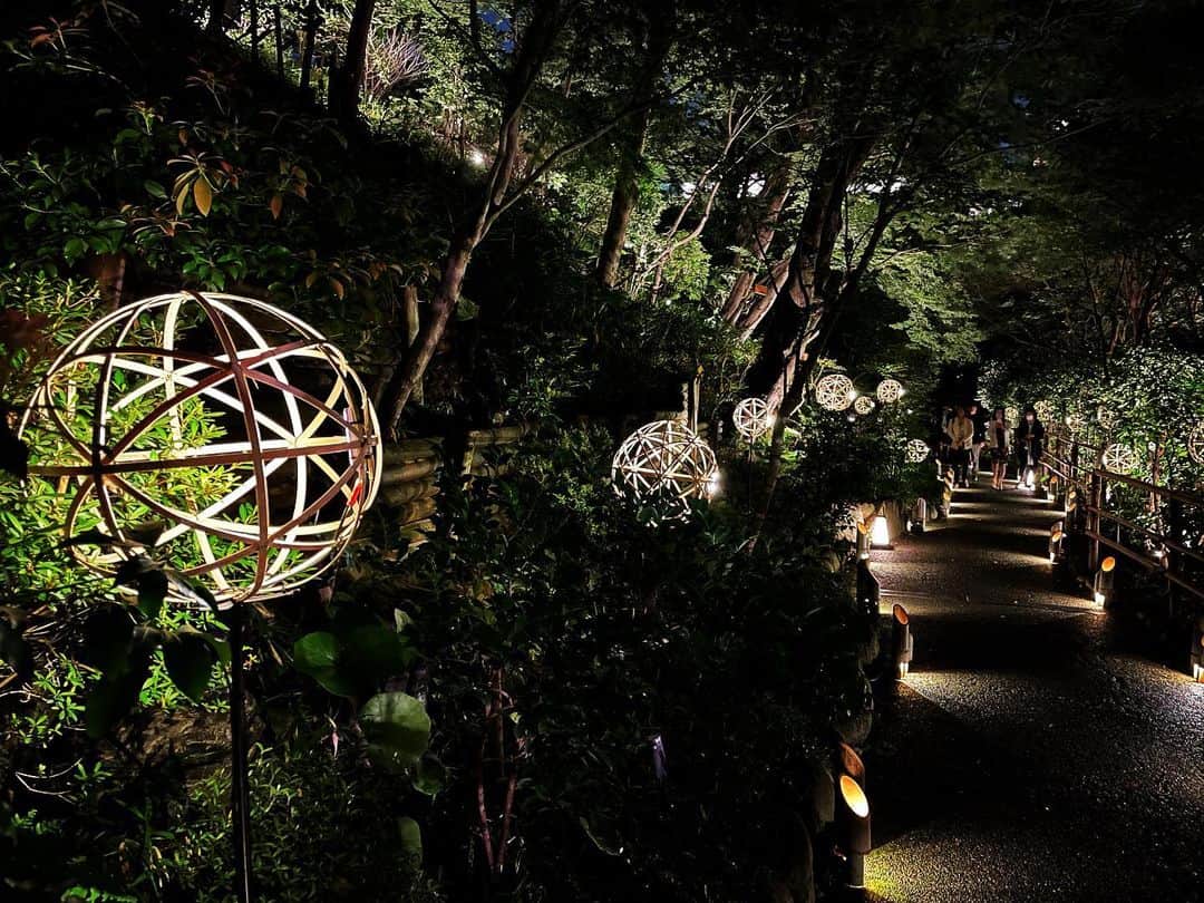 のインスタグラム：「竹あかり演出 2023.4.10-9.18 ホテル椿山荘東京  新緑・夏の季節をやさしい光で彩る、竹ぼんぼりと竹まりによる演出がとっても素敵でした。  #椿山荘竹あかり #竹あかり #bamboolantern #DJAIKO62 #東京アート散歩 #ホテル椿山荘東京 @hotelchinzansotokyo_official  #高輪竹あかり」