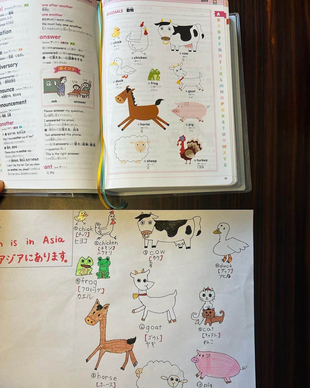 中岡由佳さんのインスタグラム写真 - (中岡由佳Instagram)「❇︎ 辞書の楽しみ方。辞書の絵に情熱を傾けるセンスが面白い。オリジナルのイラストが増えて可愛い🐈 #illustration #lovely  #animals  #dictionary  #8y10m」6月5日 10時29分 - yuka_nakaoka