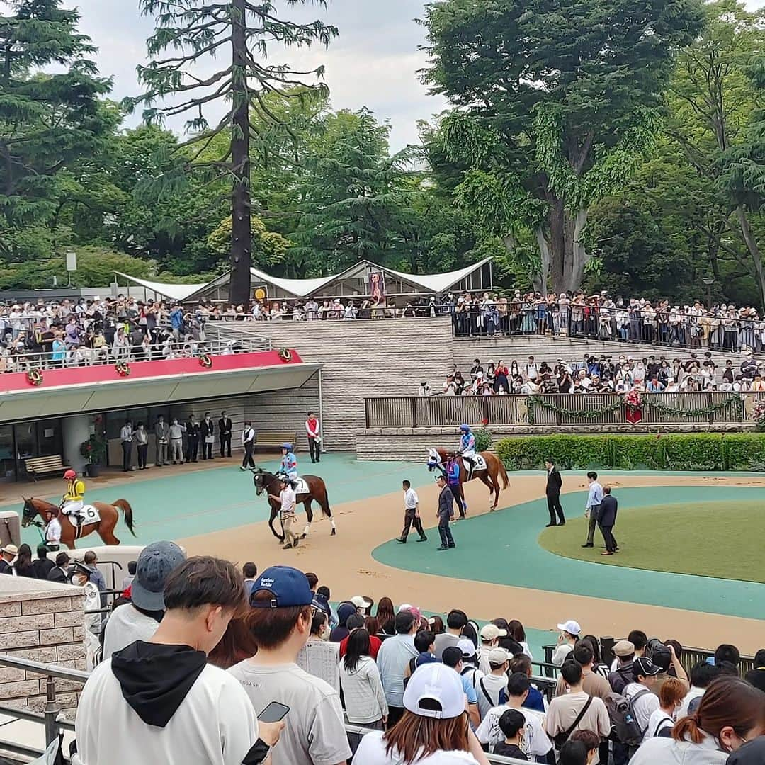 清水まり子さんのインスタグラム写真 - (清水まり子Instagram)「人生お初で馬券を買った🐴🎫安田記念100周年㊗️🏇 地鳴りがして美しい馬も人も集いエネルギッシュな空間だった🎠 #jra #安田記念  #府中競馬場  #ありがとう  #人生お初  #馬券  #wellbeeing  #ソダシ  #ソングライン #ソングラインおめでとう #mariko  #thankyou」6月5日 10時43分 - mariko1205shimizu